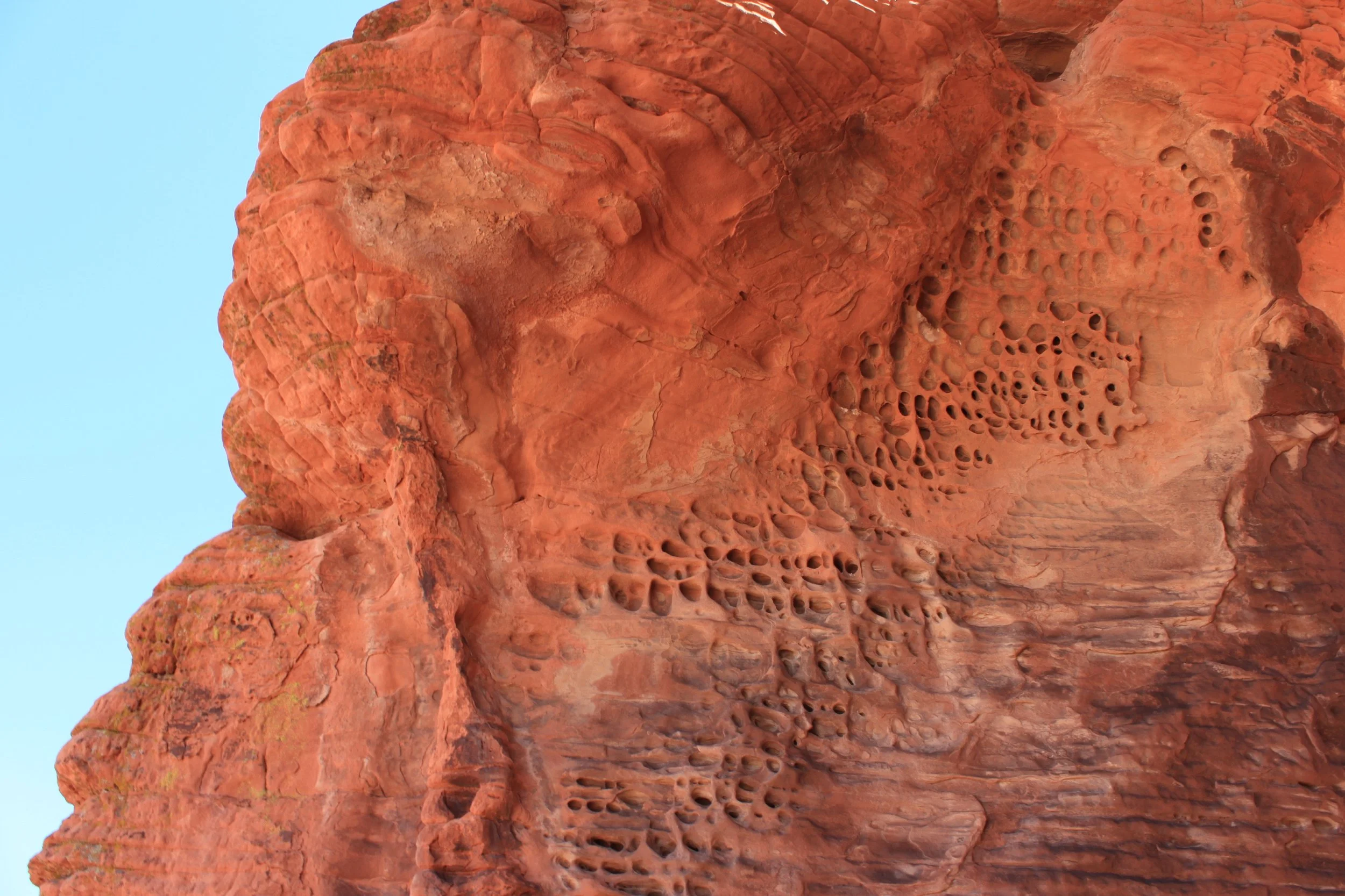 Close-up of red sandstone rock formation with numerous small holes and patterns, set against a clear blue sky.