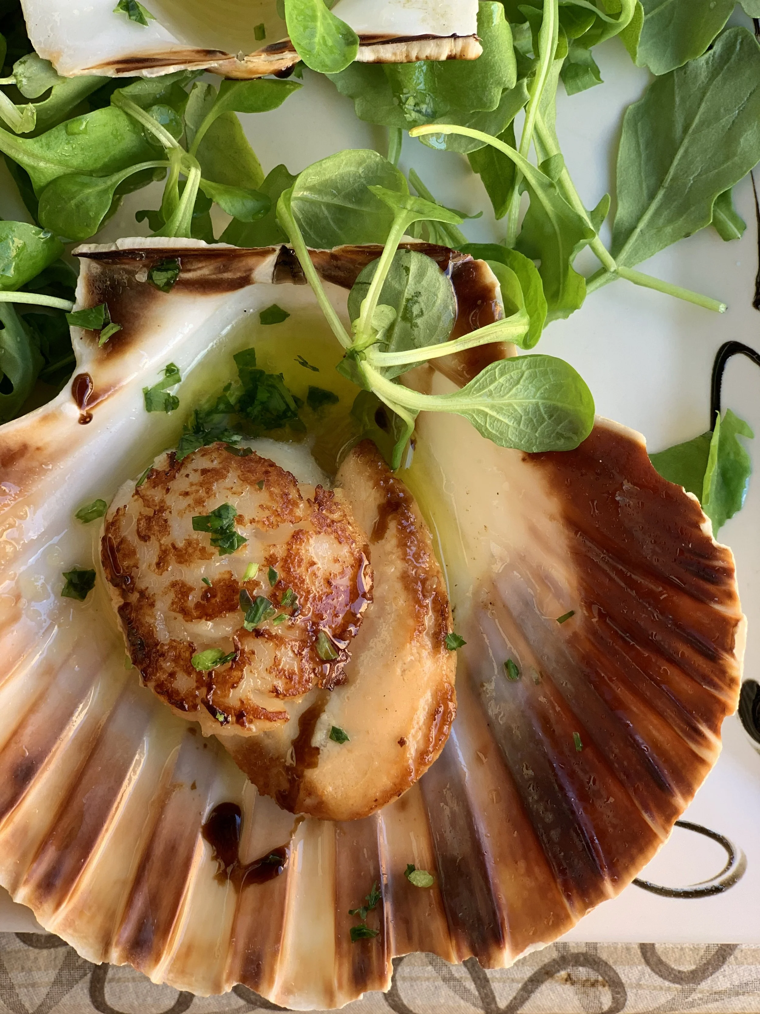 Scallop cooked in a scallop shell with herbs, garnished with chopped parsley, on a bed of mixed greens.