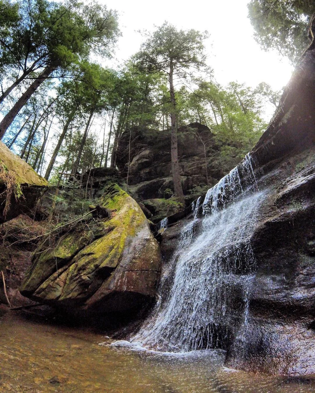 A small cascading waterfall flowing over rocks in a forest with tall pine trees and sunlight shining through the canopy.