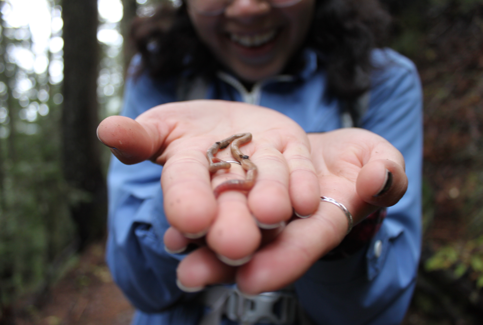 Person holding a small earthworm in their outstretched hand outdoors in a forest.