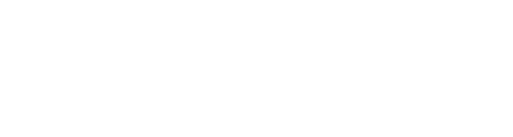 Elizabeth Stover Fagan Memorial Fund