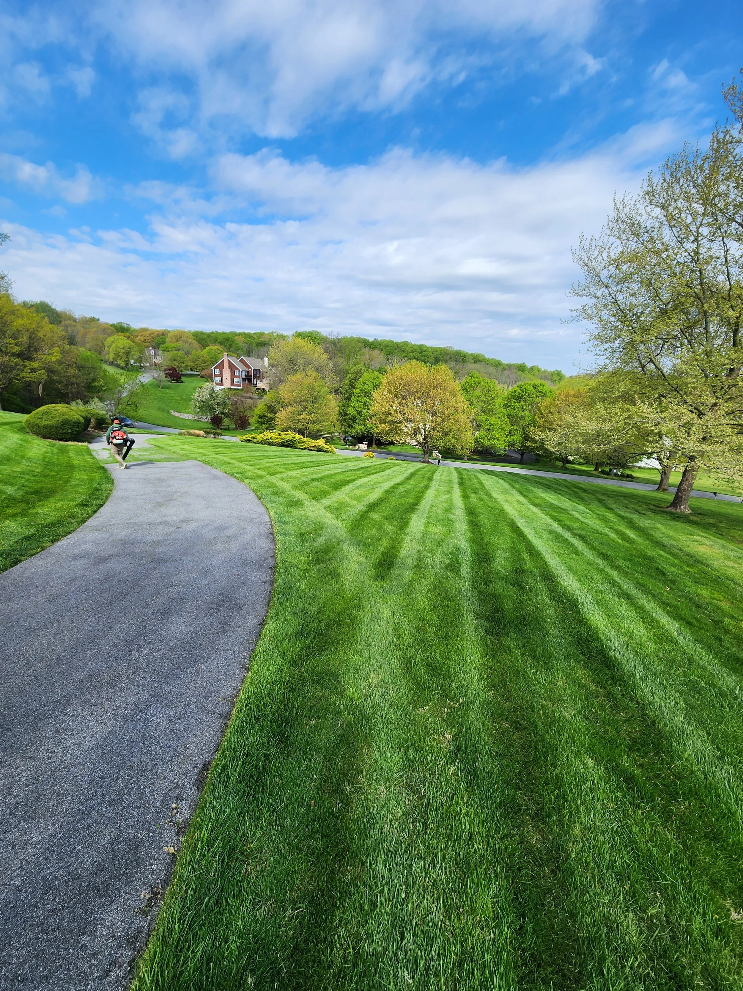 A person jogging on a curved pathway through a lush, green park with well-maintained grass, trees, and houses in the background under a partly cloudy blue sky.