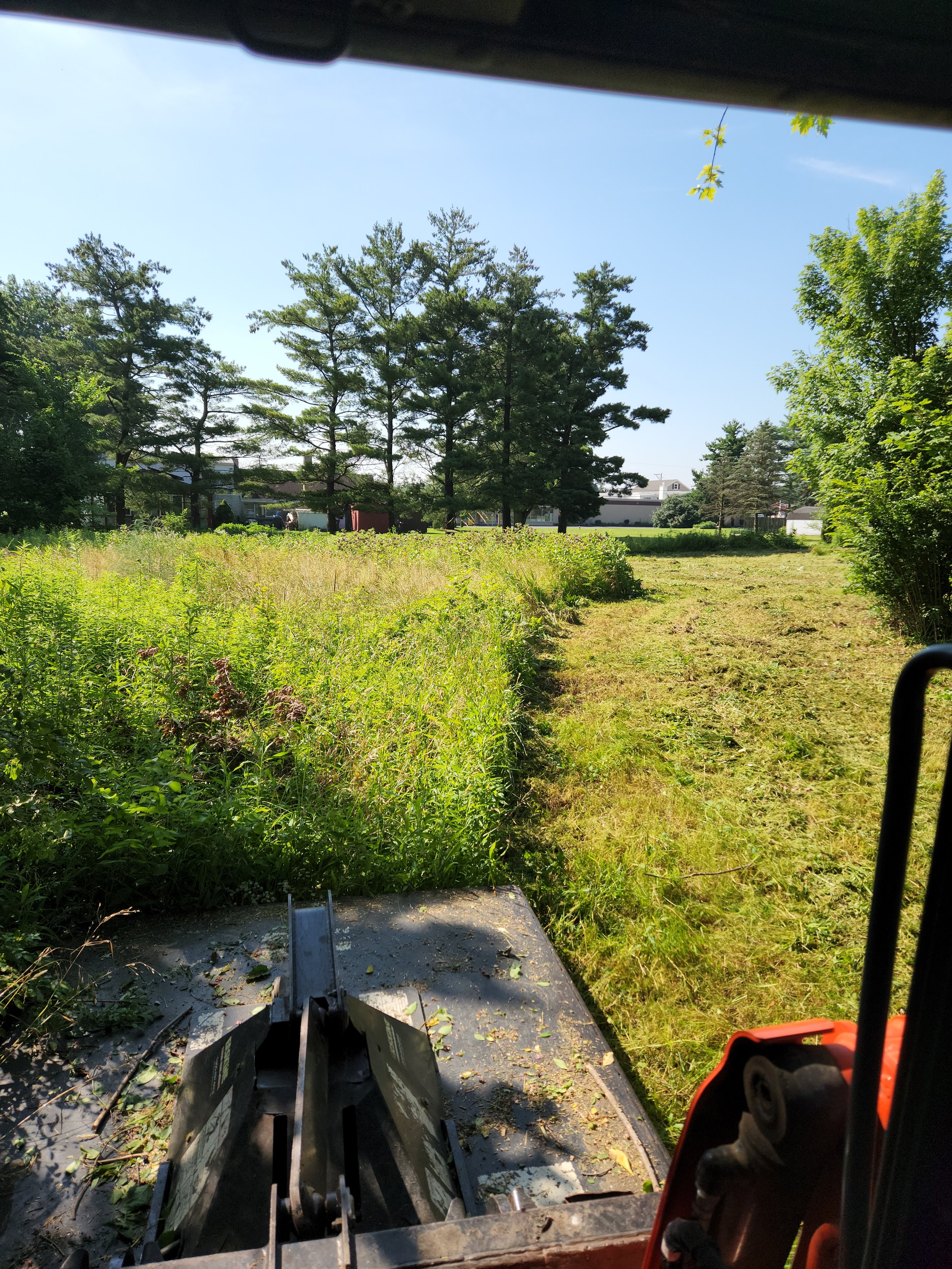 Scene viewed through the window of a machine at work, showing a field with tall grass and trees in the background.