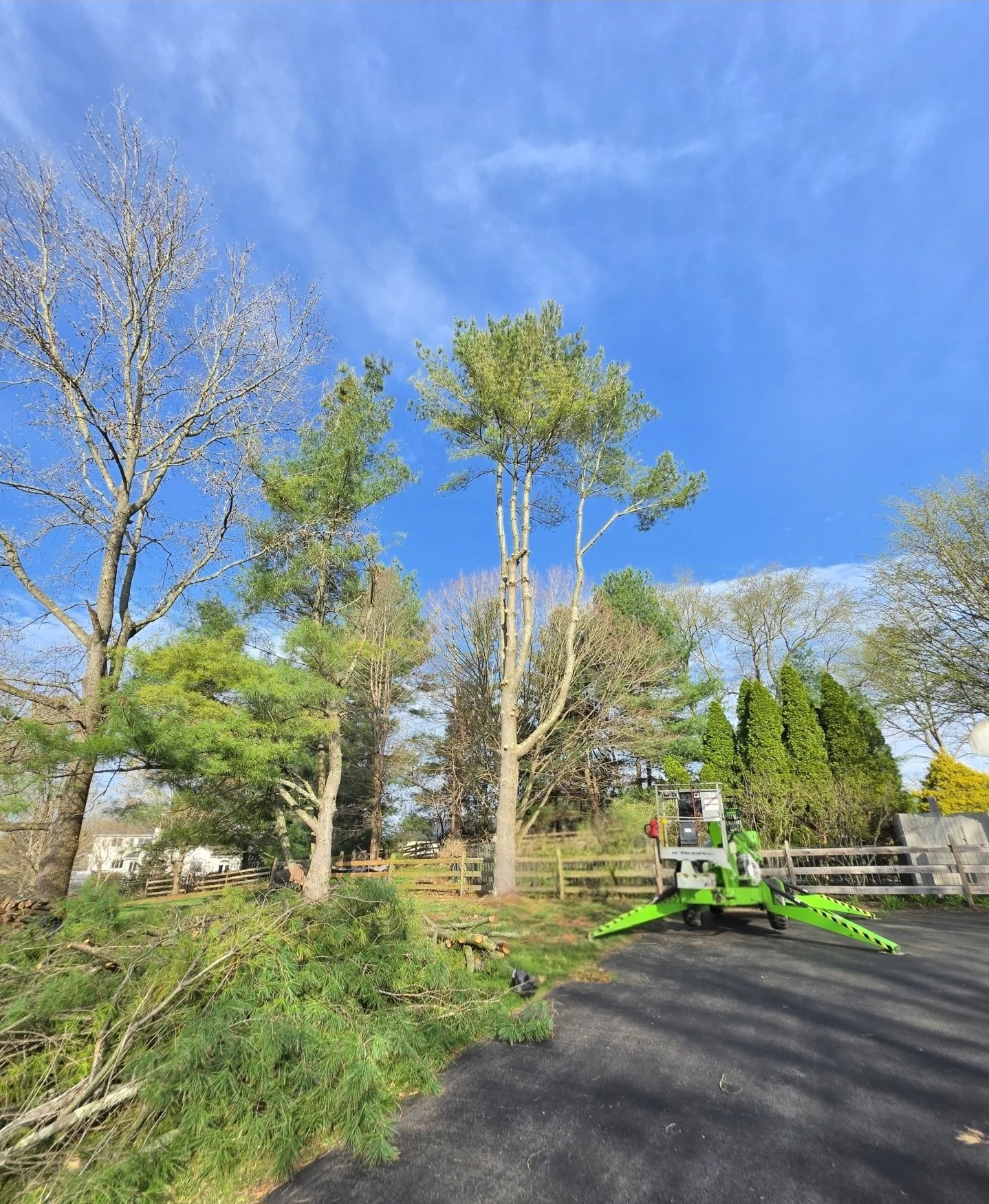 Tree trimming equipment on a paved area with trees in the background, a wooden fence, and houses beyond. The sky is mostly clear with some light clouds.