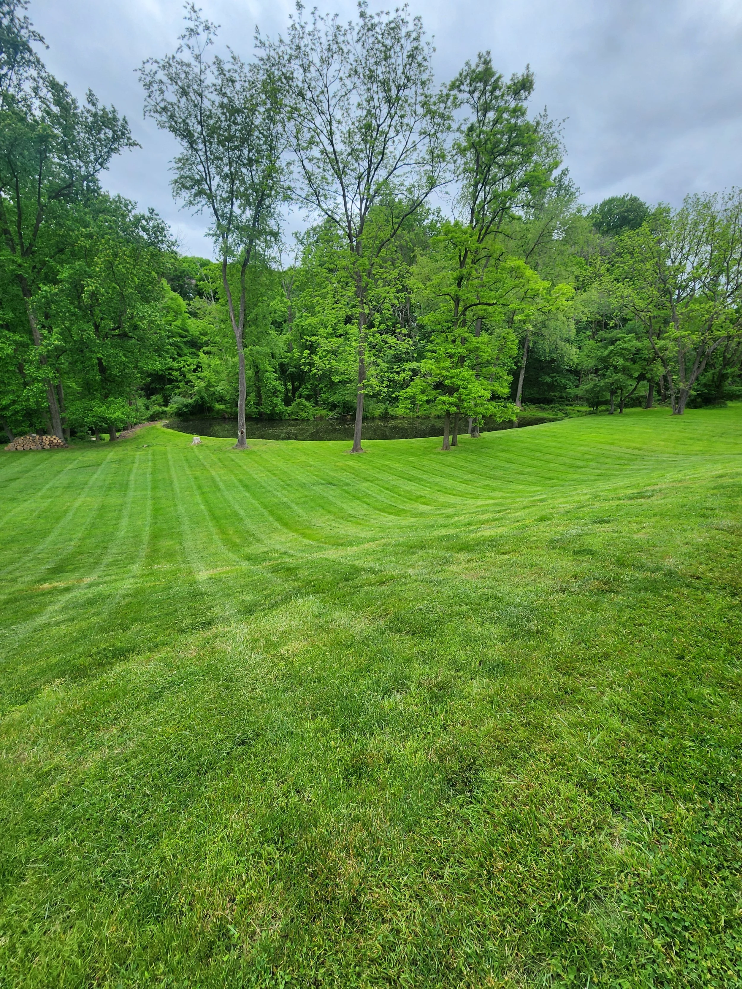 A lush green park with neatly mowed grass, tall trees with fresh green leaves, a small pond in the background, and a cloudy sky overhead.