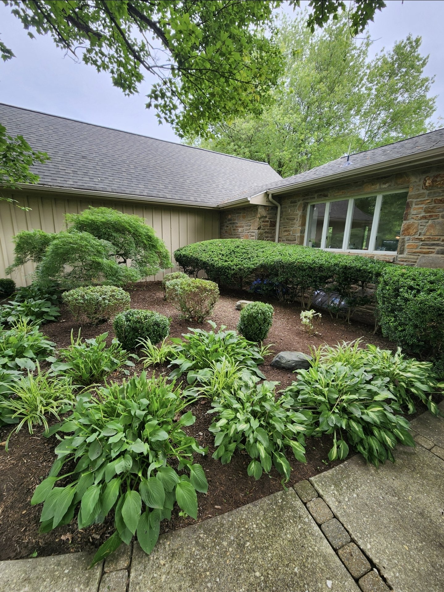 A backyard garden with various shrubs and plants, a brick house with large window, trees in the background, and a stone pathway.