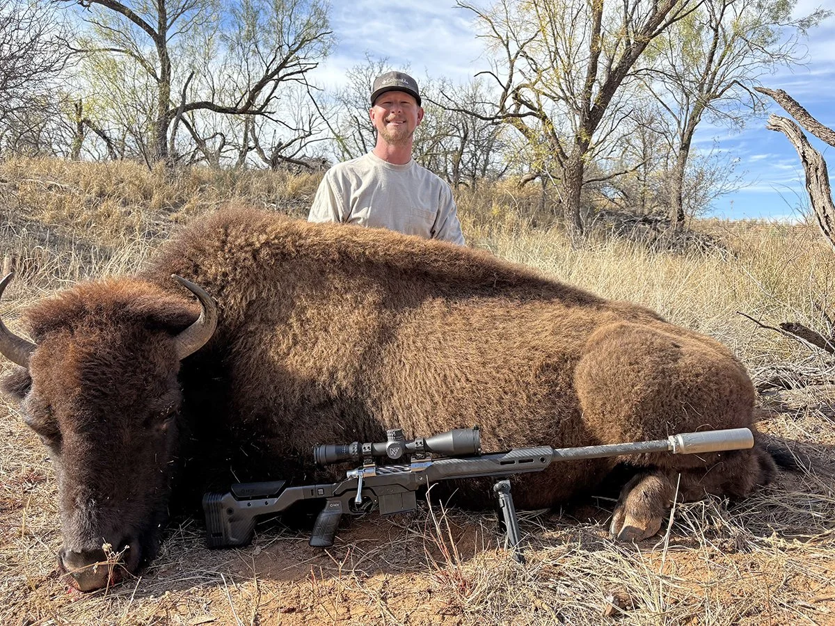 Bison.jpg