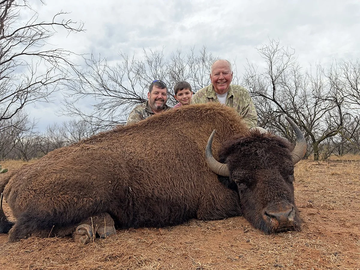 Bison2.jpg