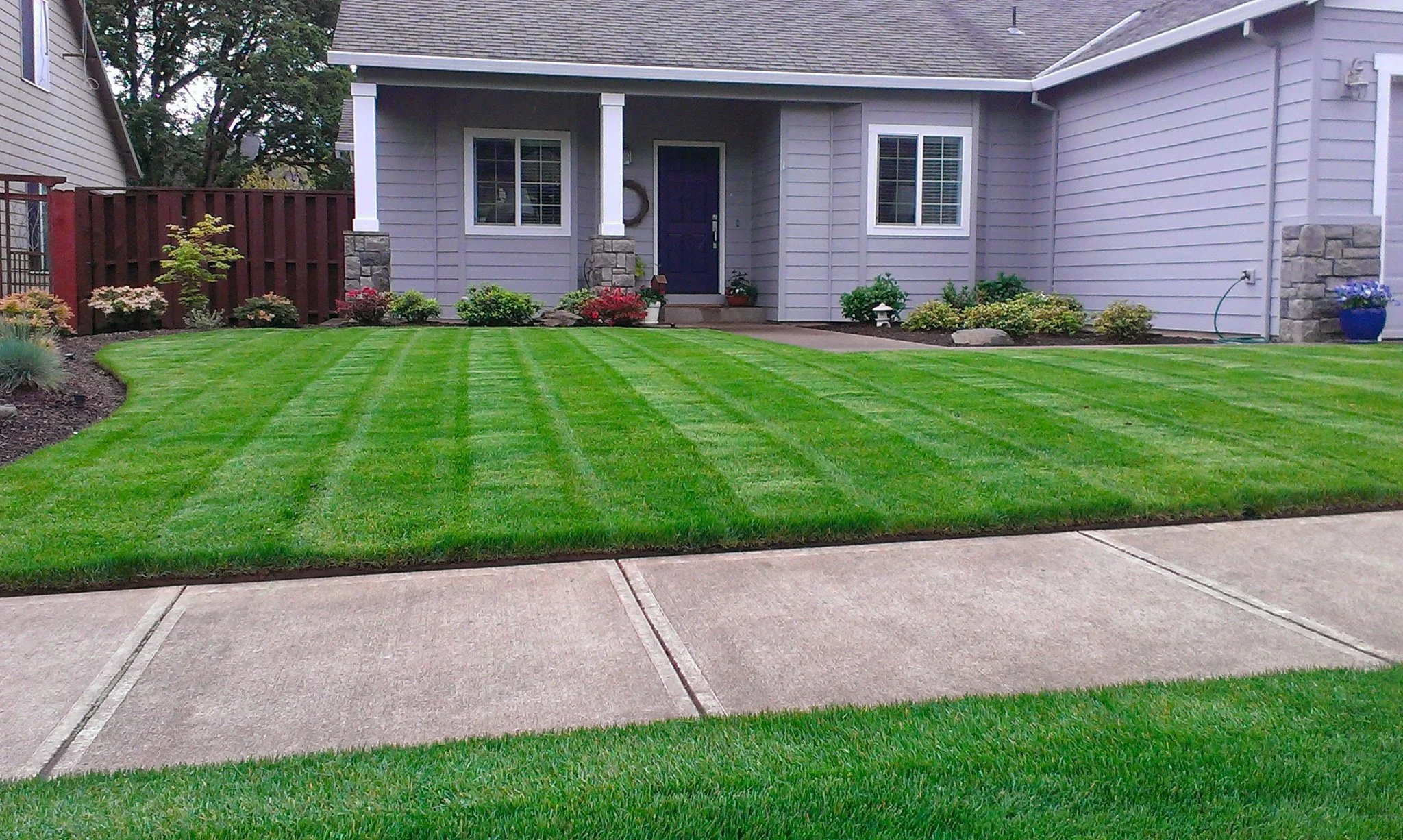 house_lawn-2.jpg