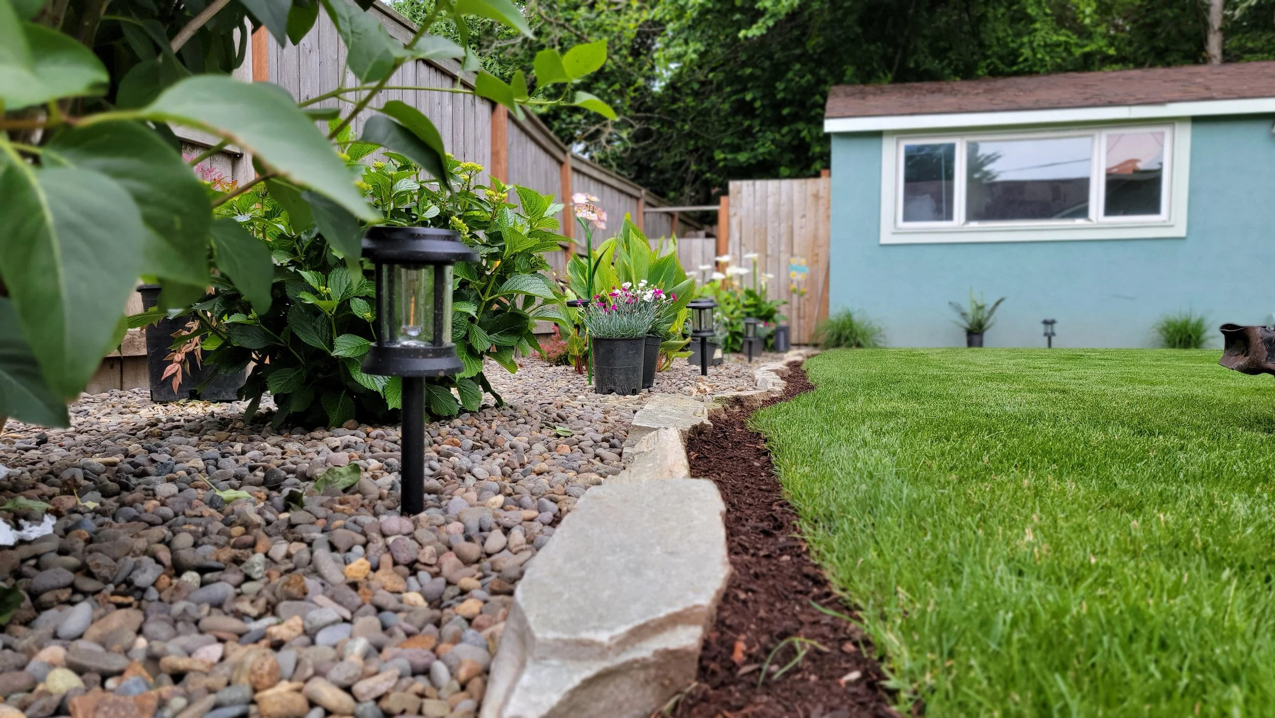 edged_yard.jpg