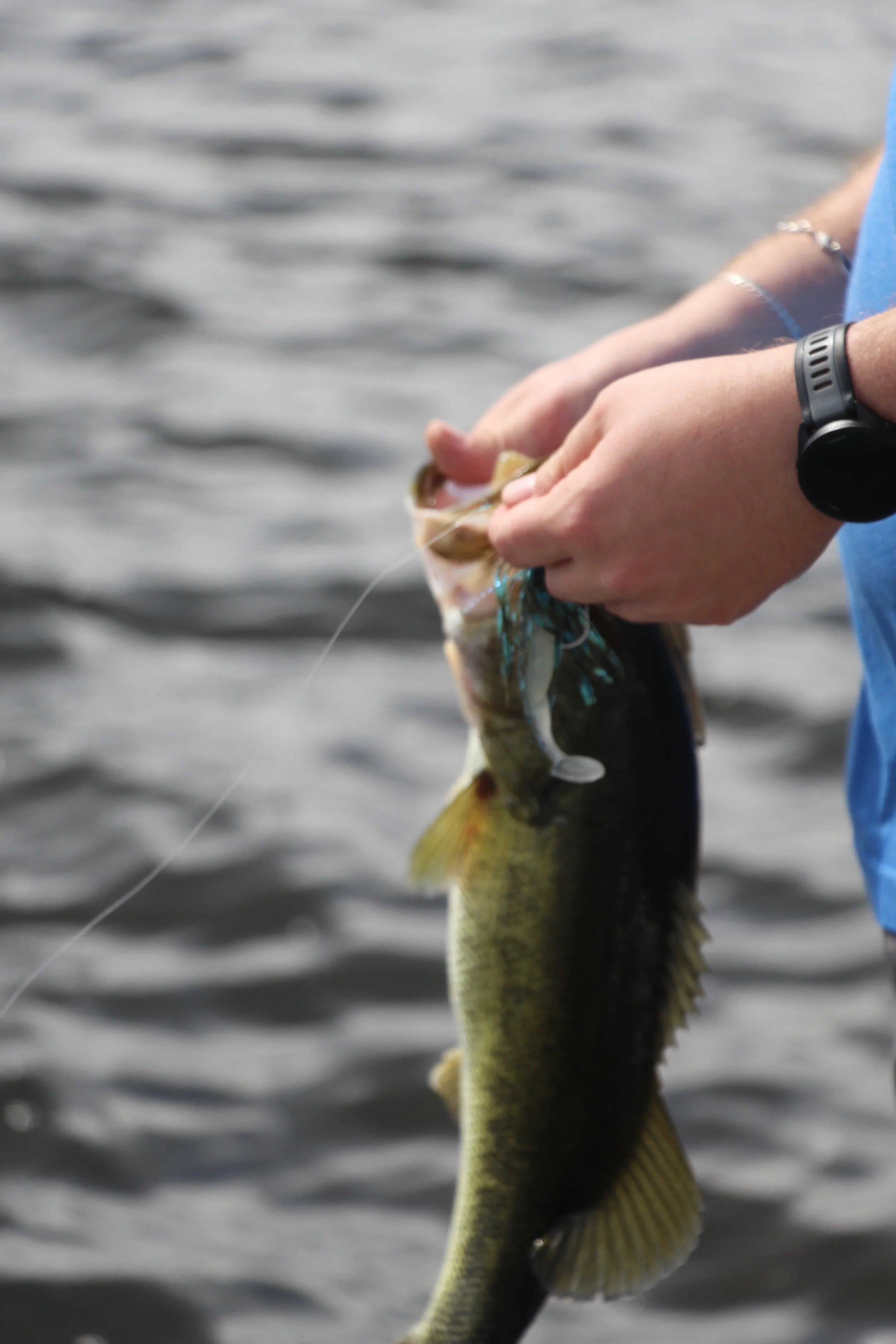 Person holding a fish by the mouth over water with ripples, wearing a black wristwatch and a blue shirt.