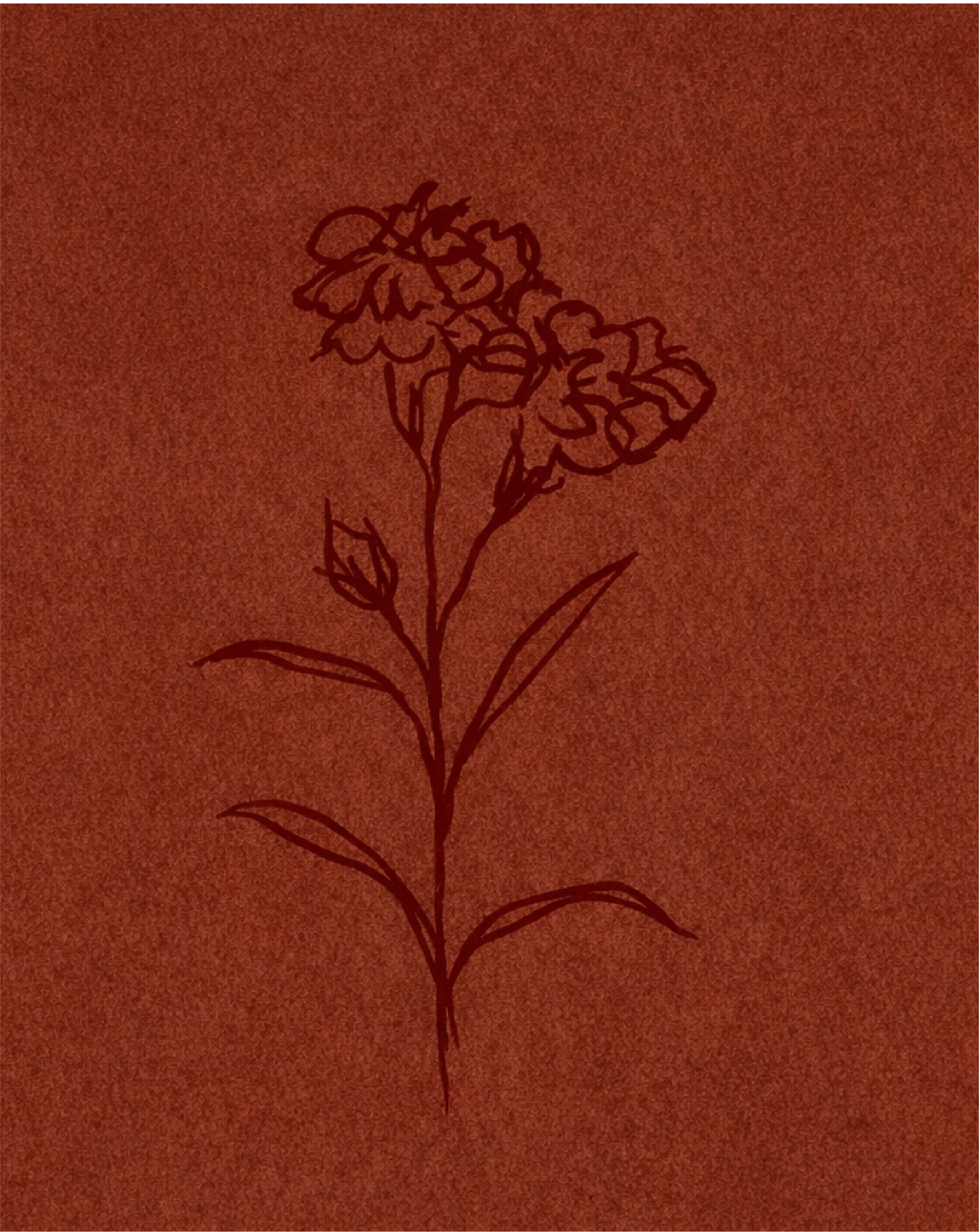 Floral illustration symbolizing themes of love and magic in Kellie Yeck’s fantasy romance novels