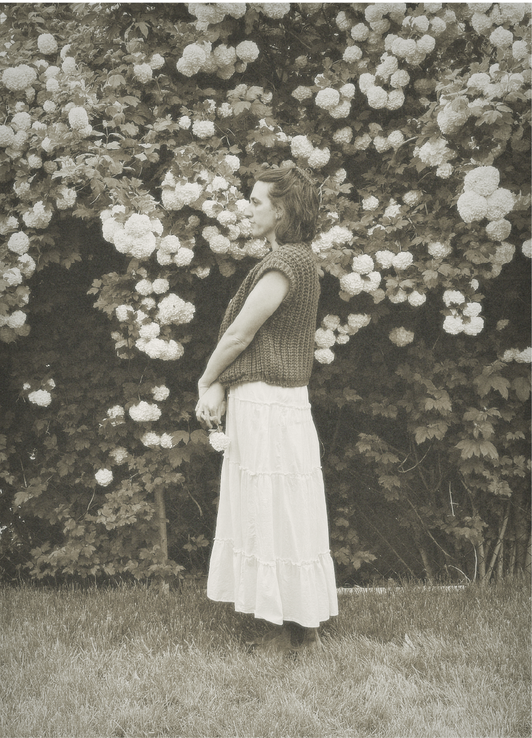 Romantic, nature-inspired imagery reflecting softness, strength, and emotional depth in fantasy romance storytelling.