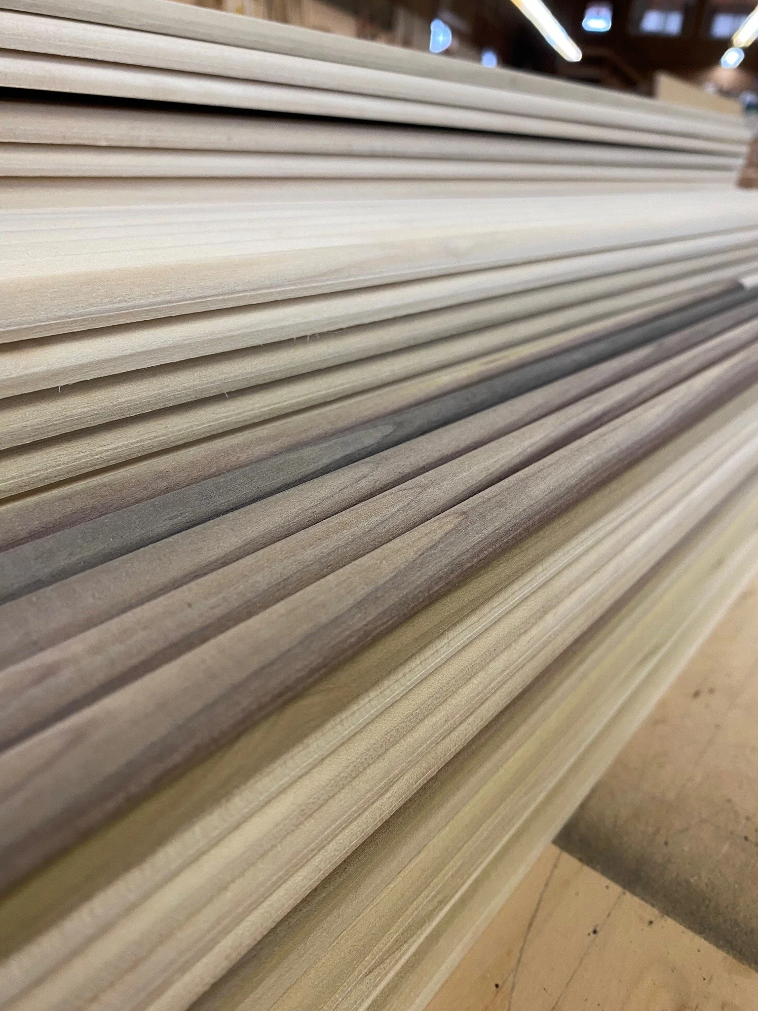 Continental Divide.jpg