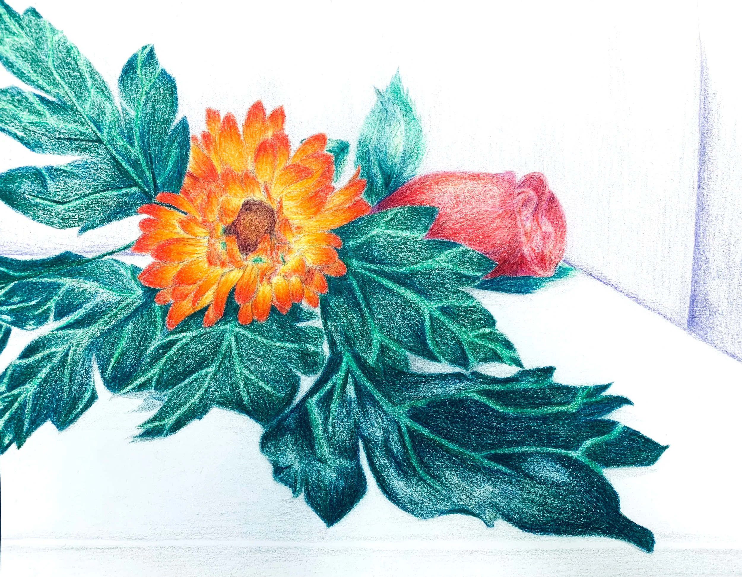 Flowers.jpg