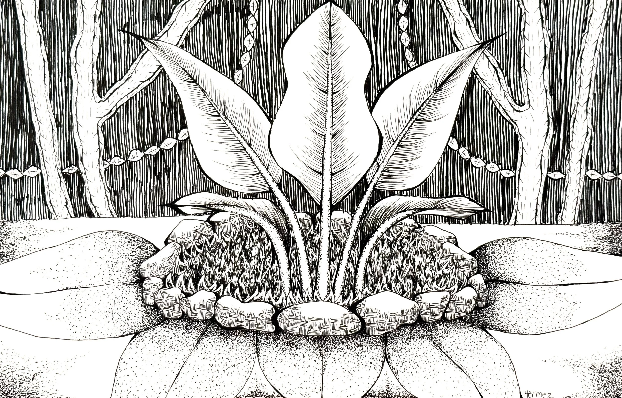SymmetricalLeaves.jpg