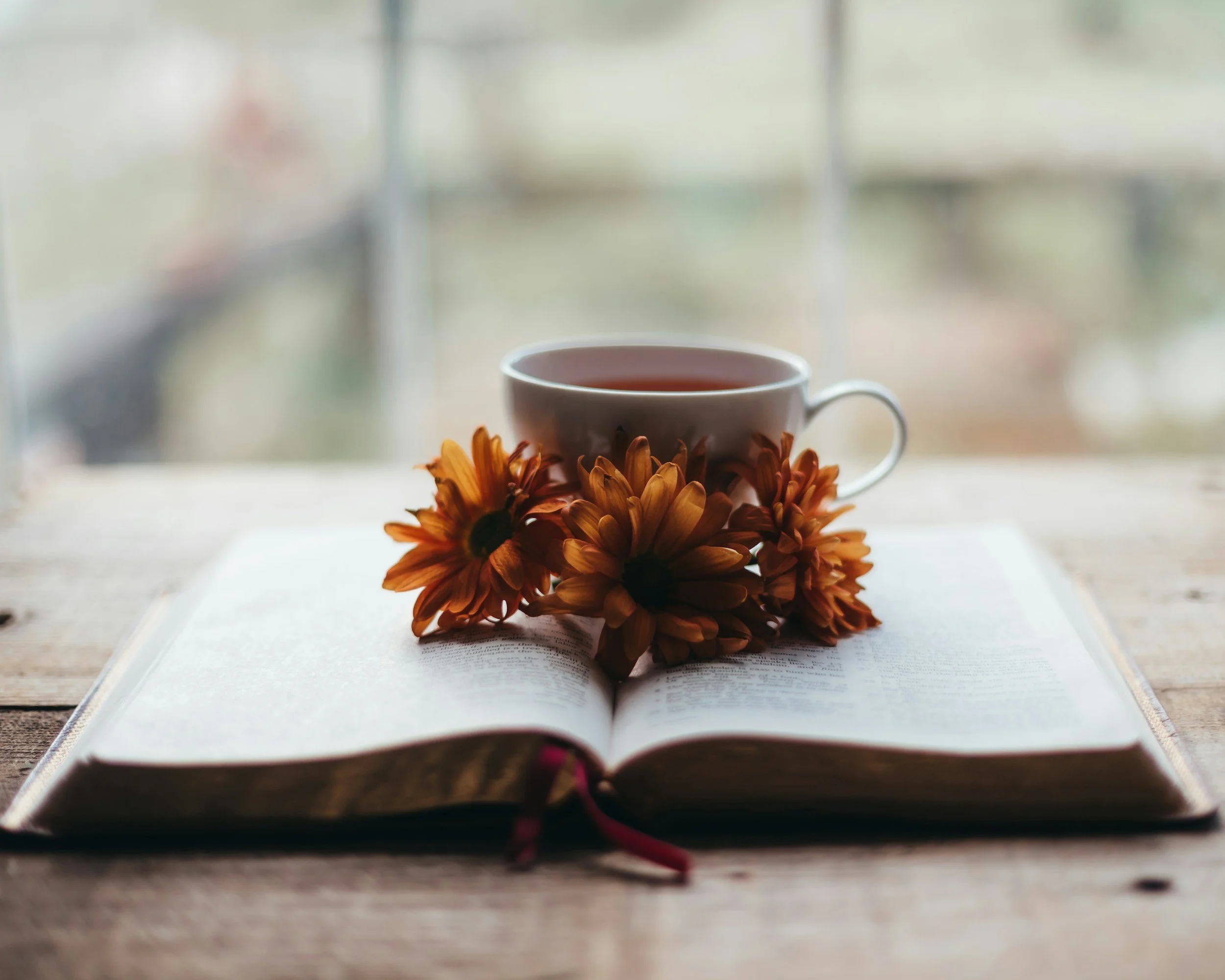 Steeping in Scripture: A Gentle Invitation to Quiet Time