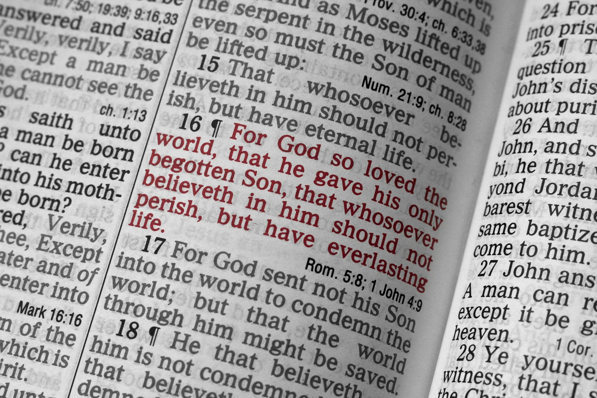 John 3:16 verse