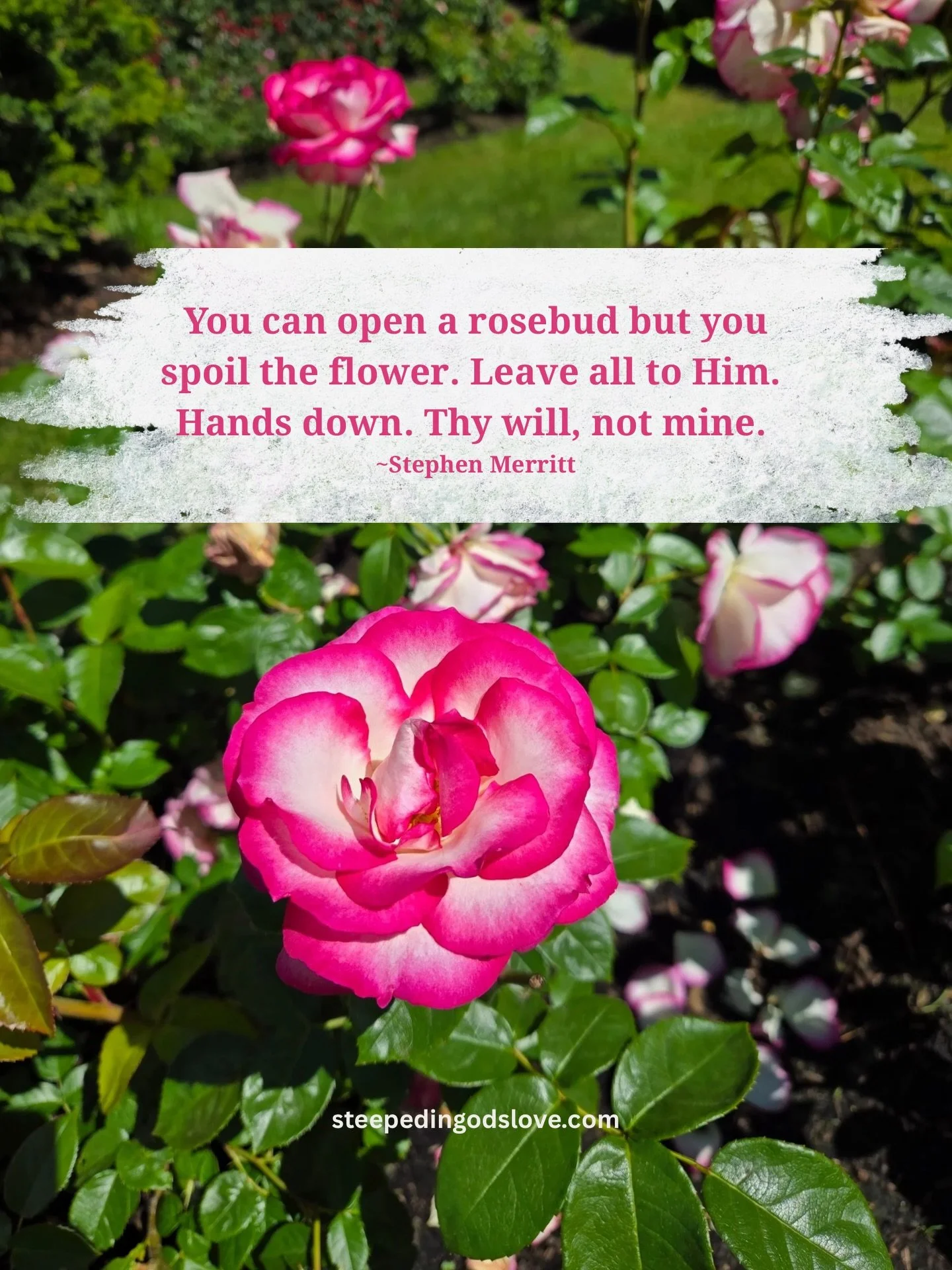 Thy will be done when the answer is, &ldquo;No&rdquo;, and the storms still come&hellip; God is good &mdash; ALWAYS. 💕