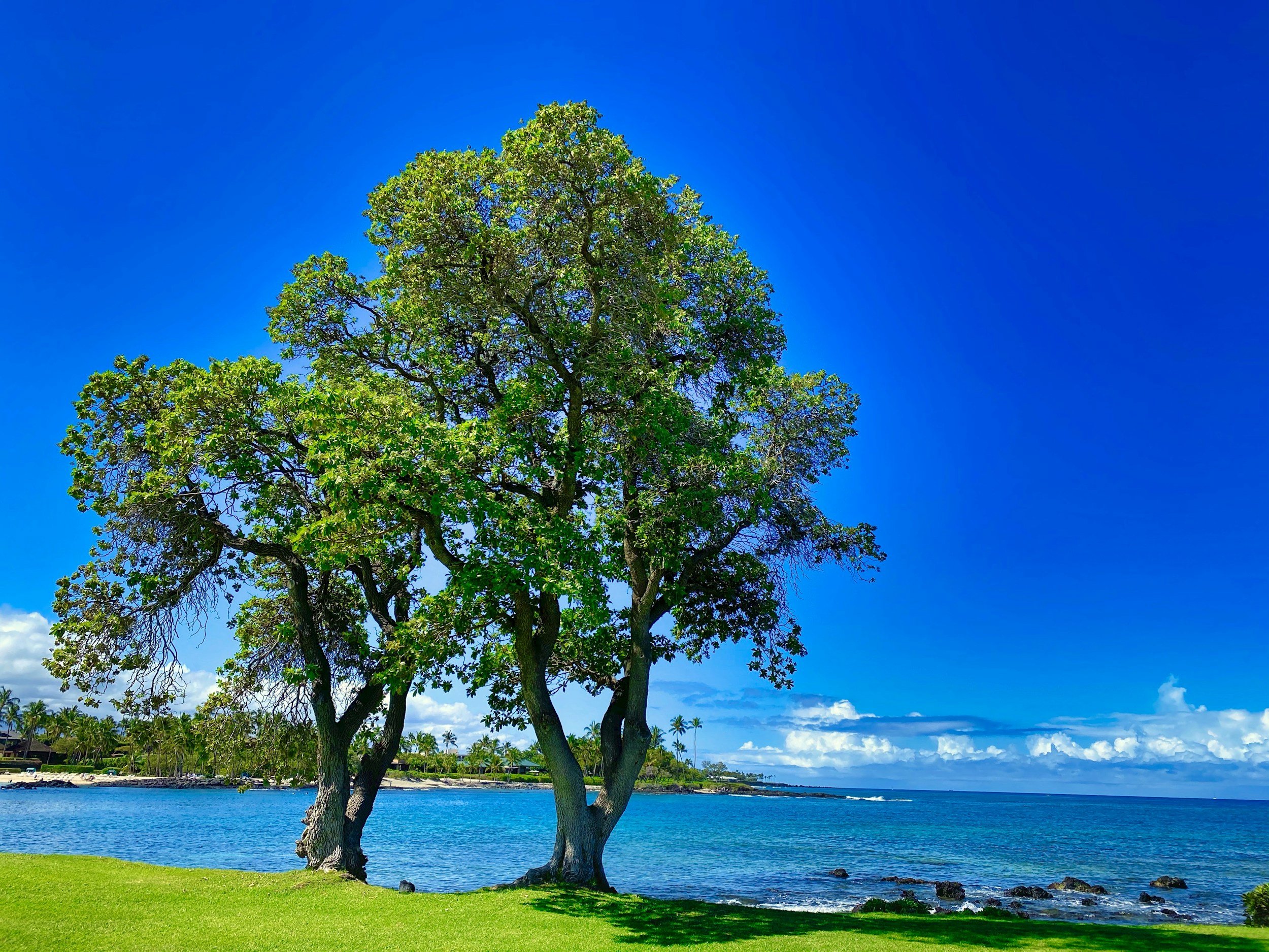 When Life Feels Restless:                 4 Practical Ways to Abide in Jesus