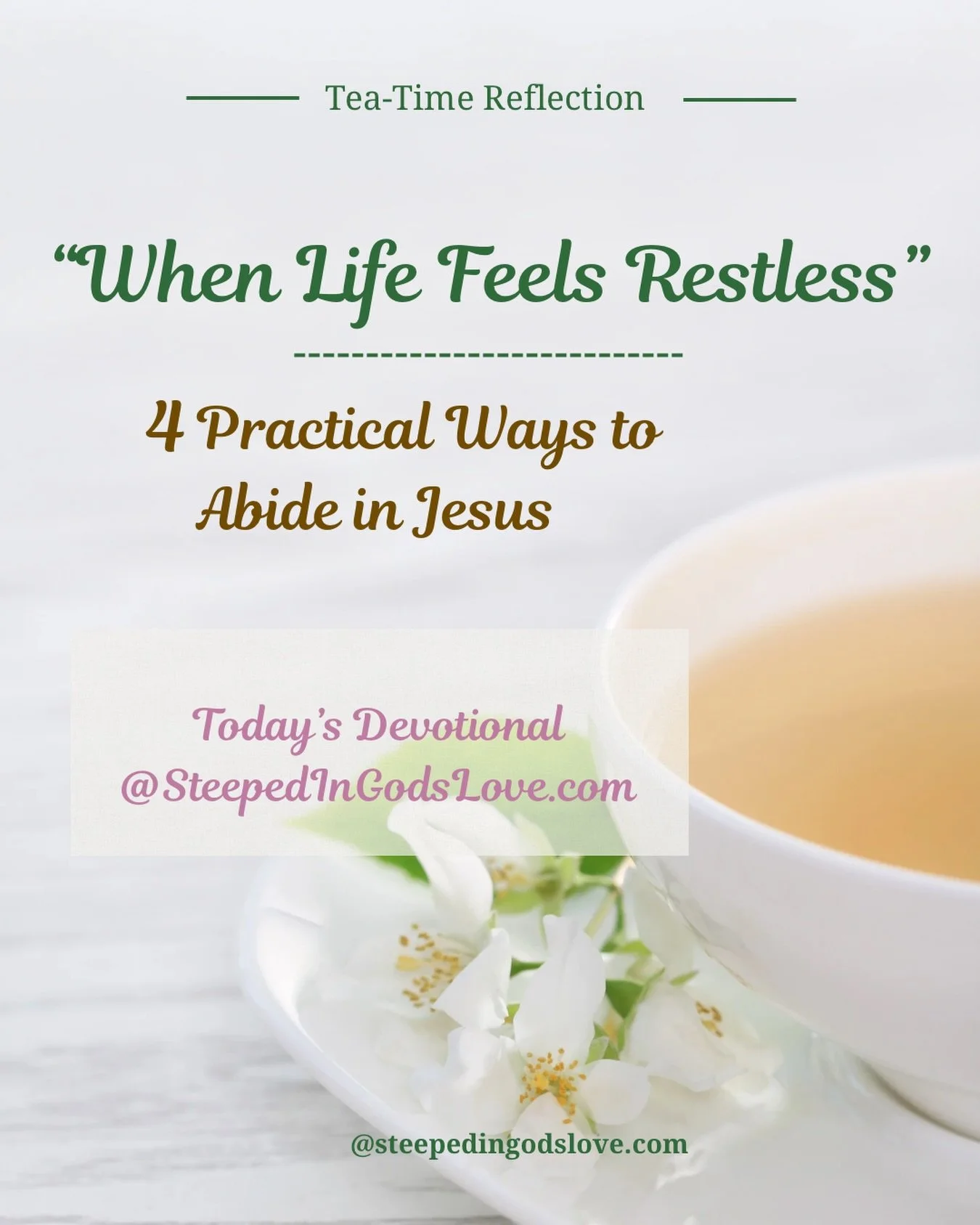 #teatimedevotional☕️📖 #abideinjesus #plantedbythewater #lovehisword
