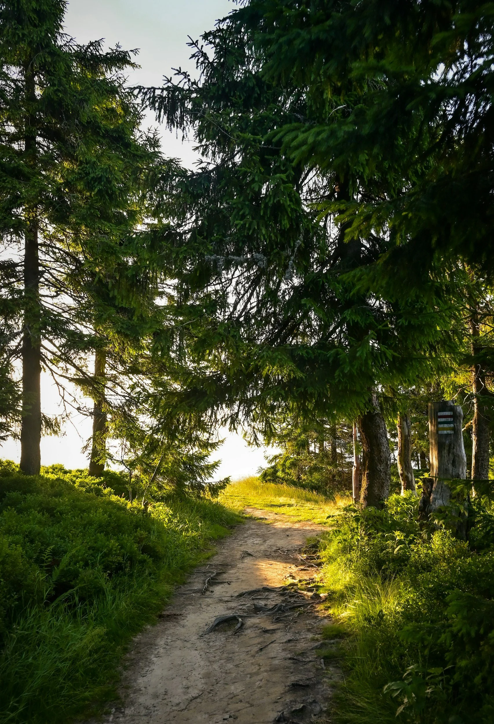 Why God Hates Lying: A Biblical Call to Walk in Truth