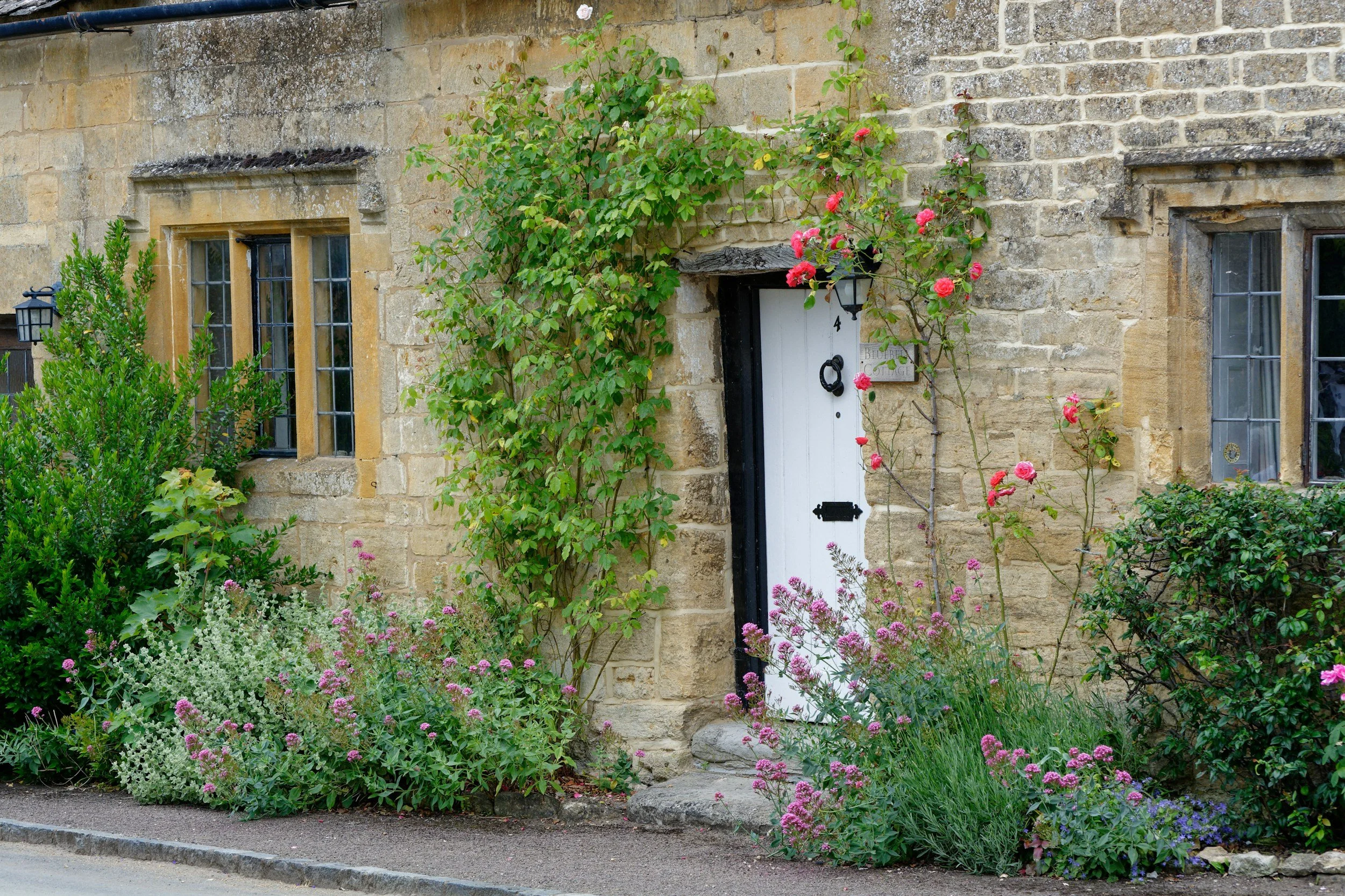 closed door flowers