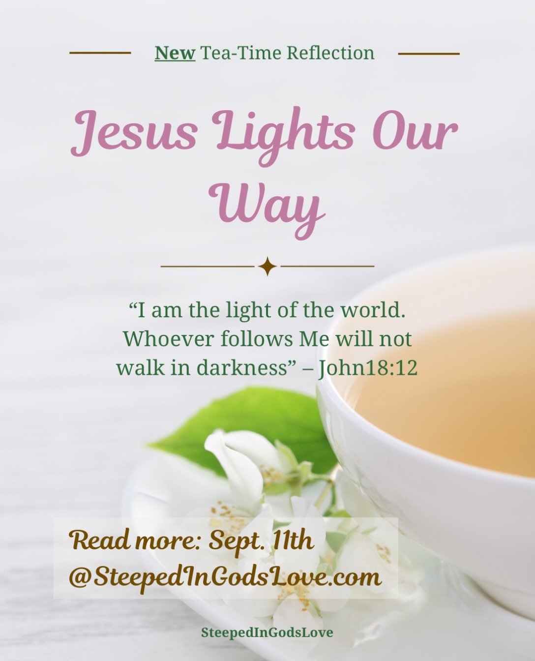 #steepedingodslove #jesusourlight #womansdevotional
