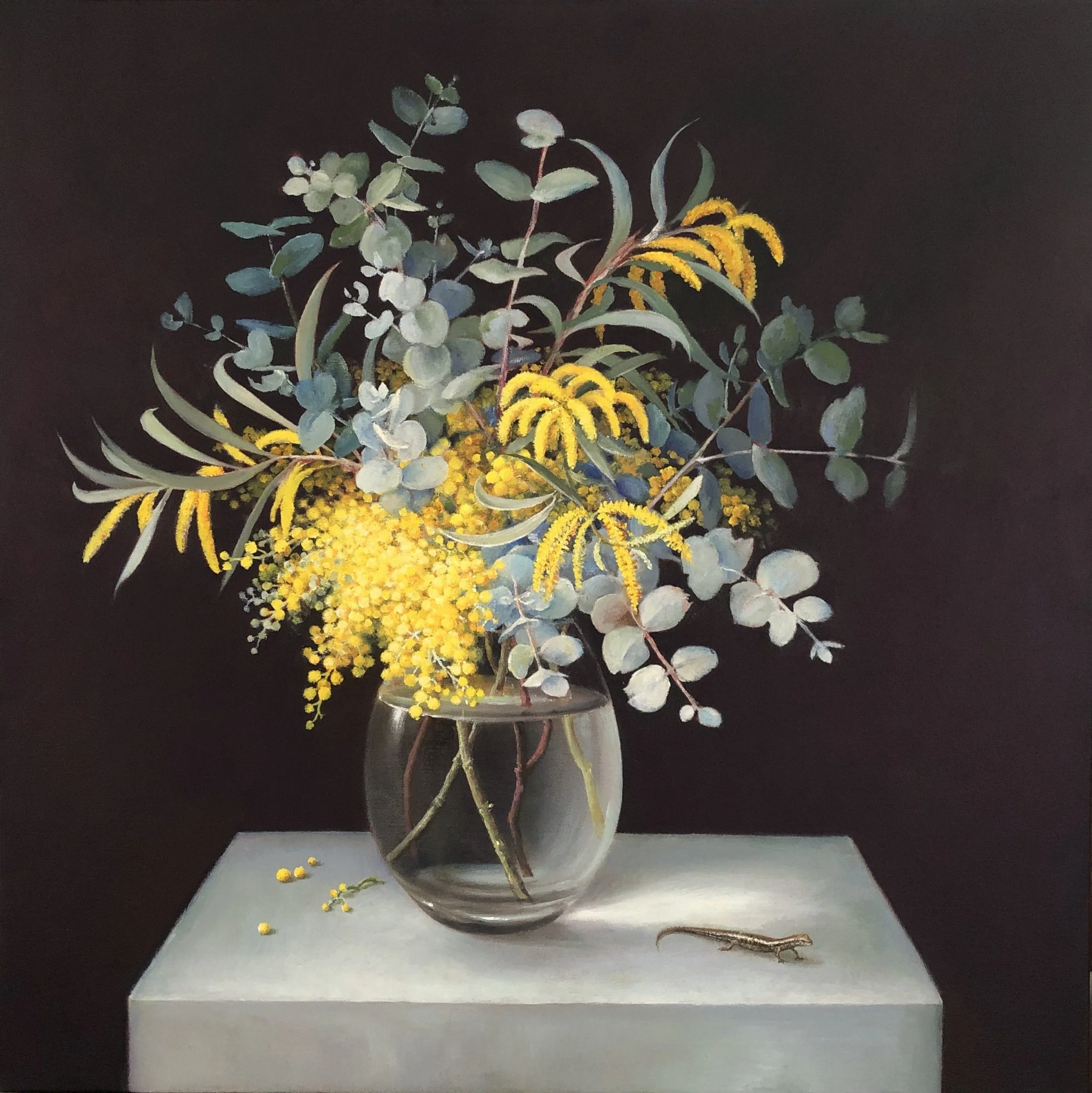 Polly Wells - Bellingen