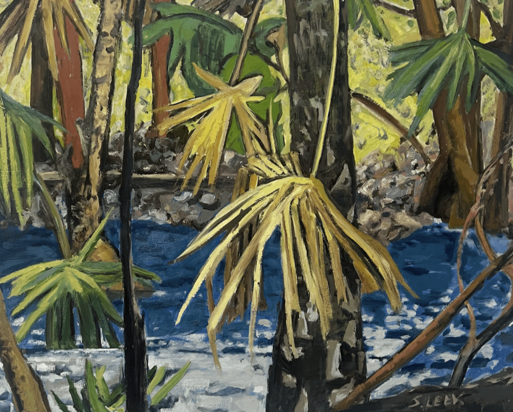 Stephen Leek - Bellingen