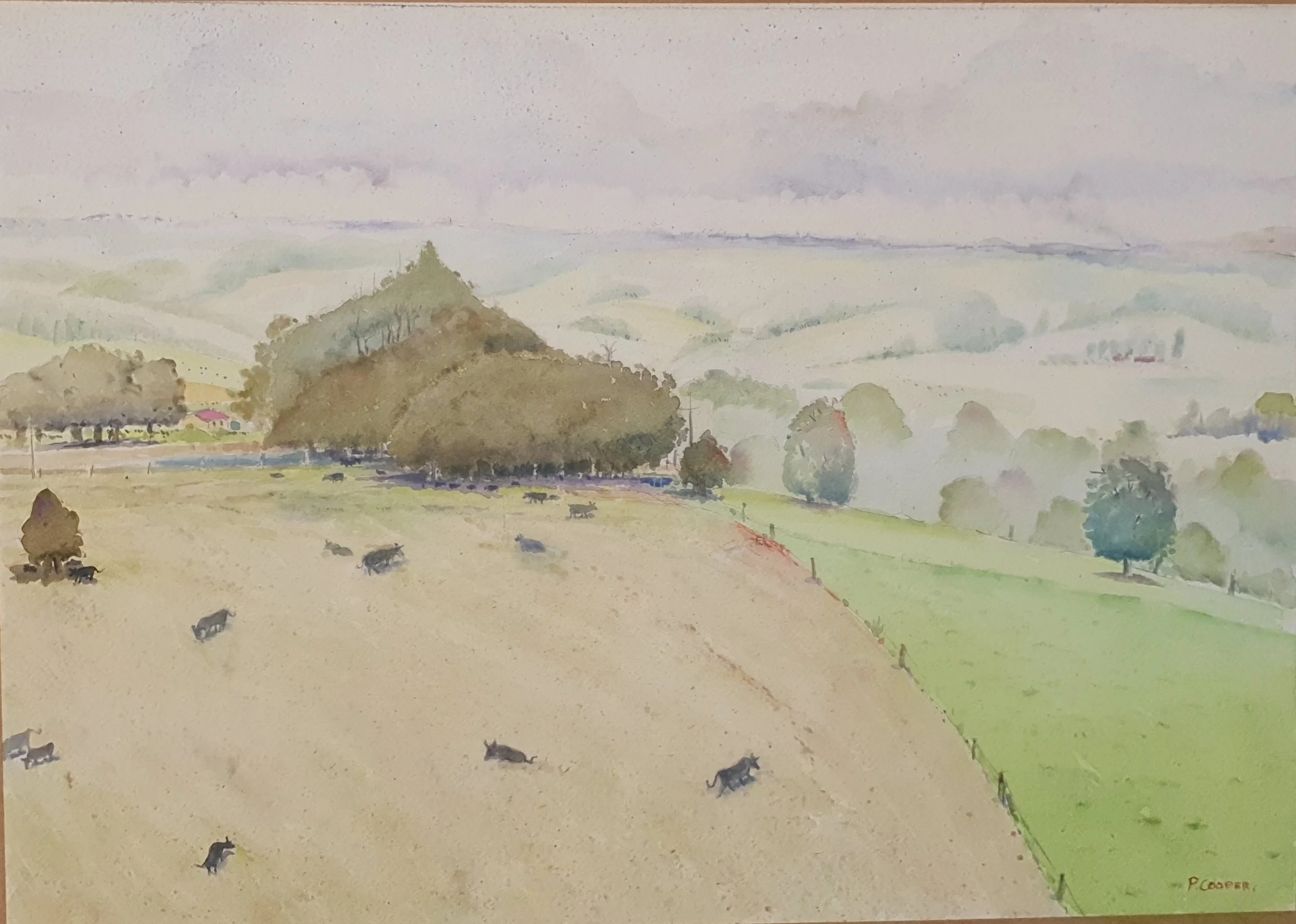 Peter Cooper - Dorrigo