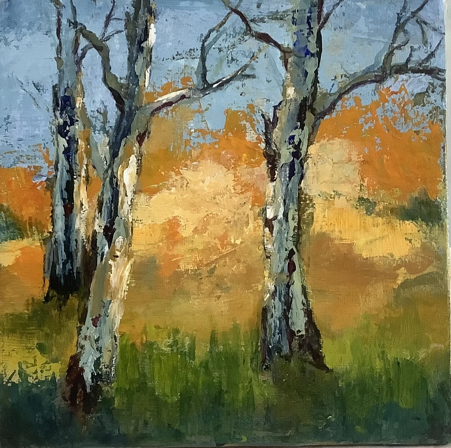 Louise Bravery - Dorrigo