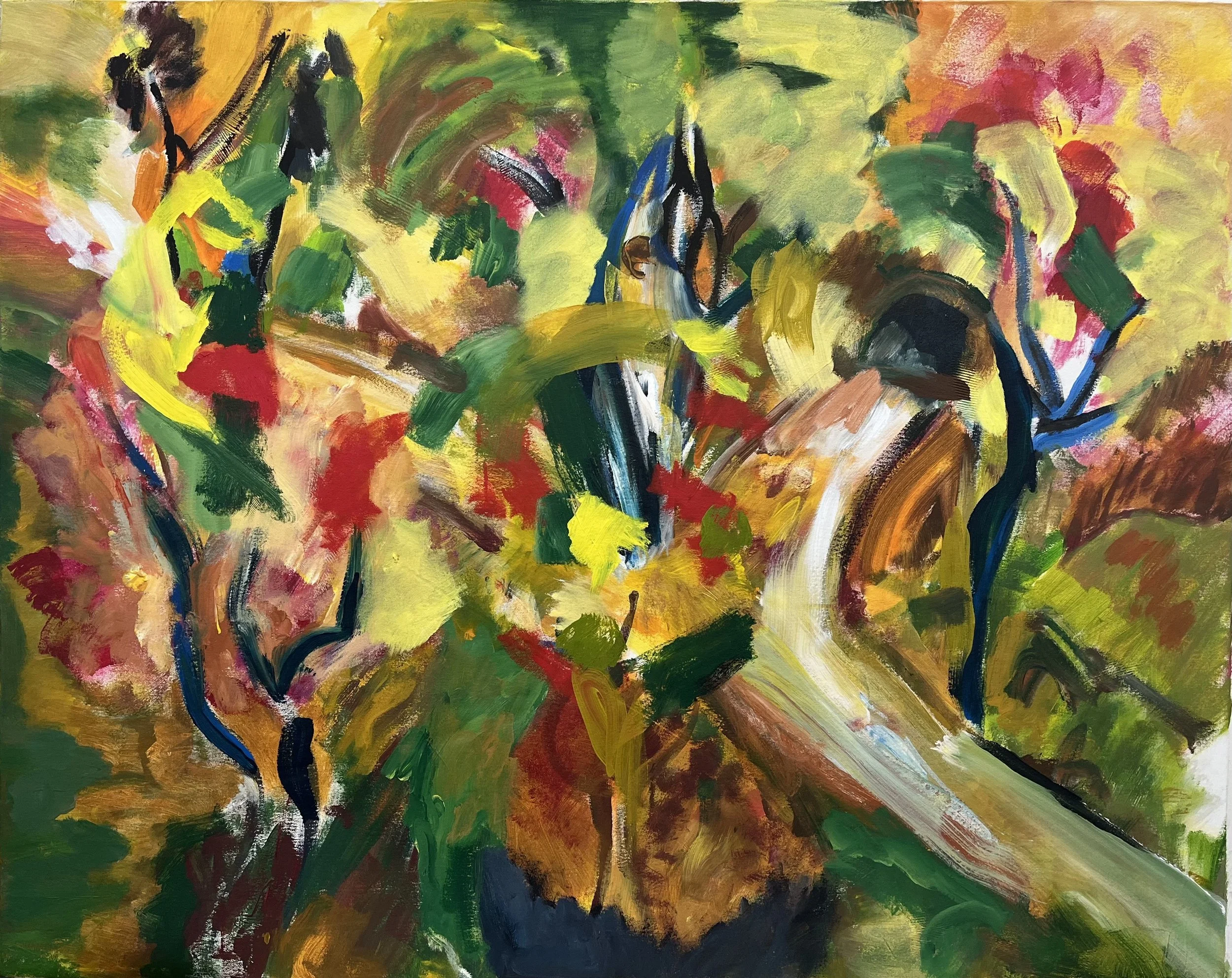 James Whitington - Dorrigo