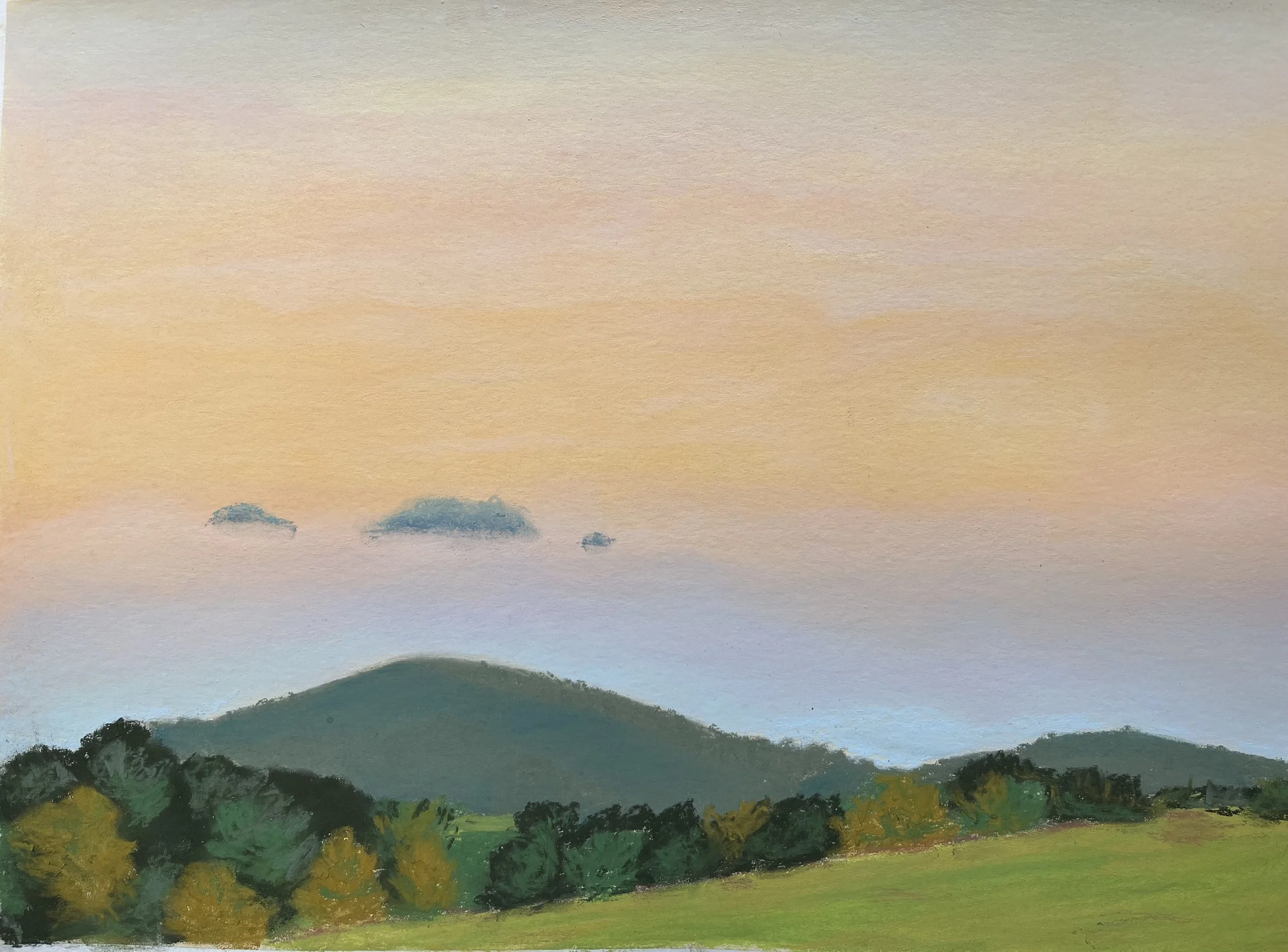 Kurrajong View -Penelope Lowther (1).jpeg
