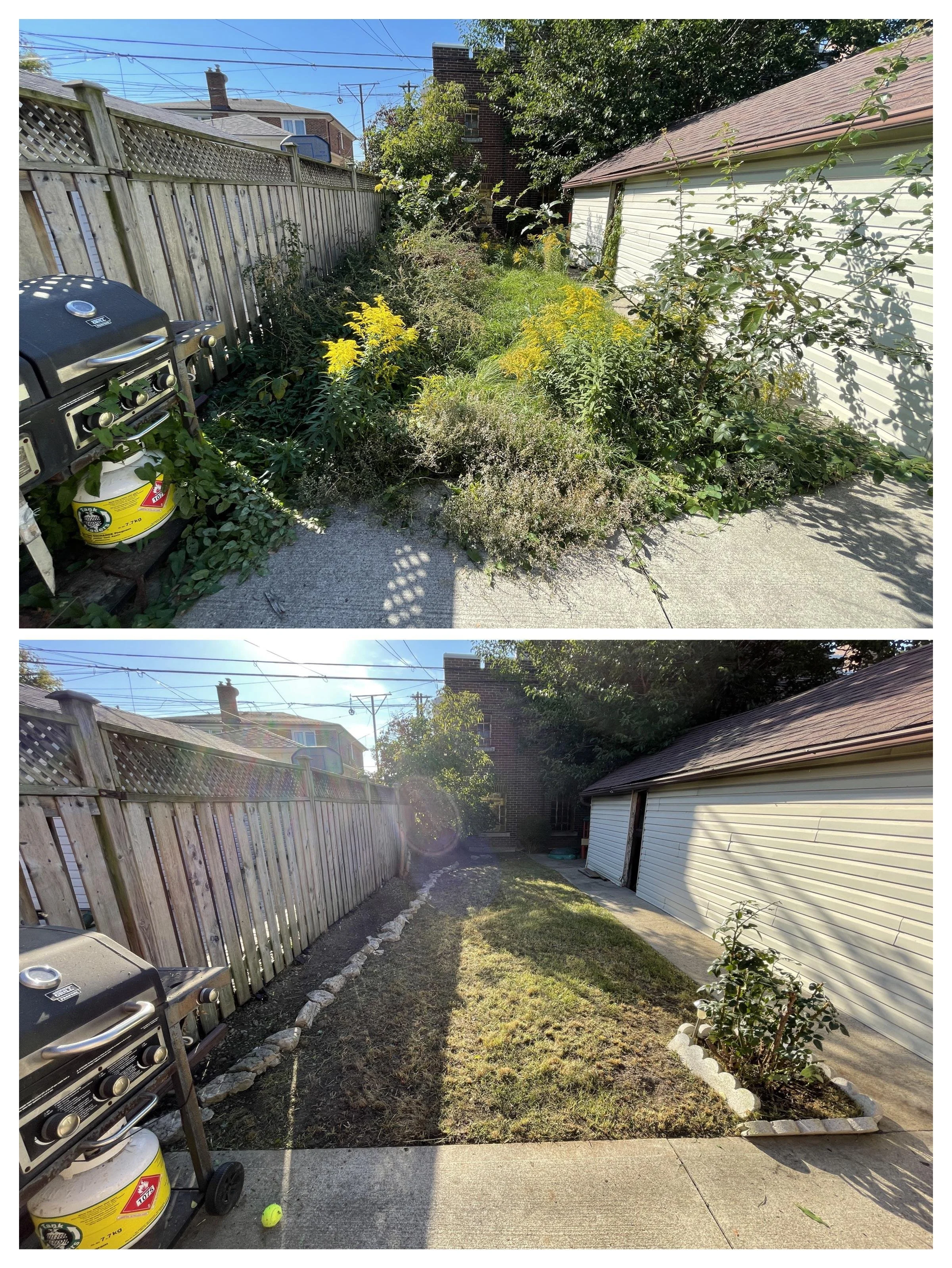 Backyard and Brush Reclamation