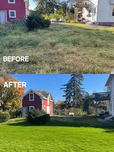 The Yard Reset