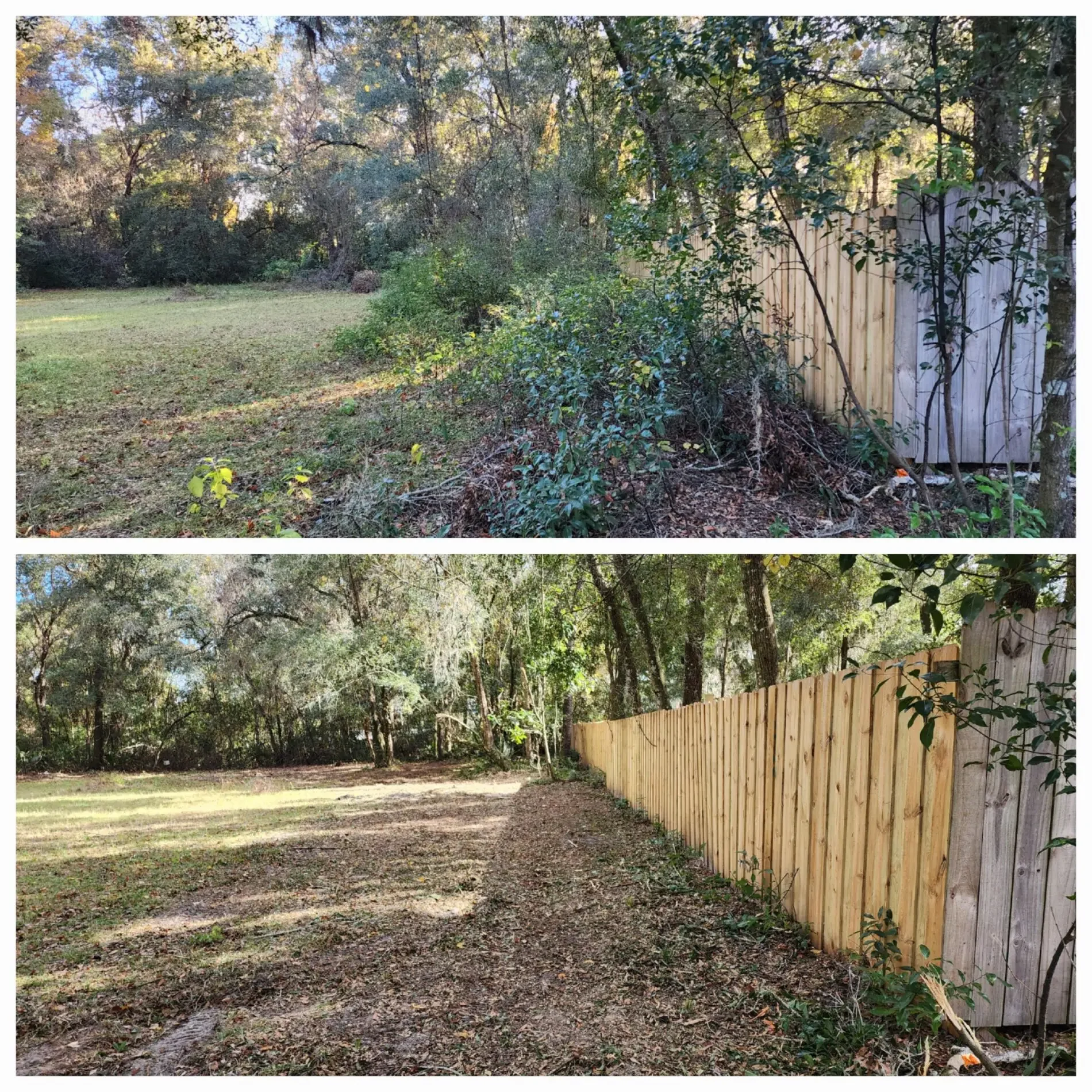 Fence Line Clearing