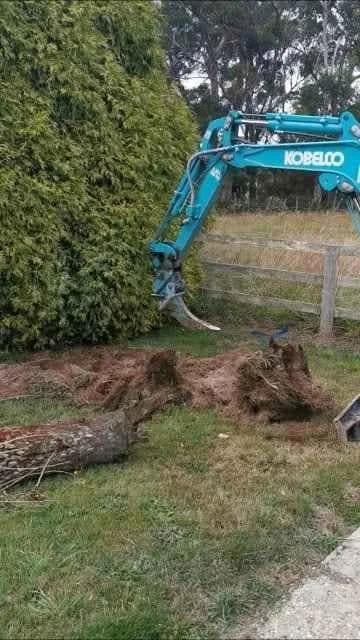 MEB Hire excavator ripper removing tree stumps for Phillip Holmes