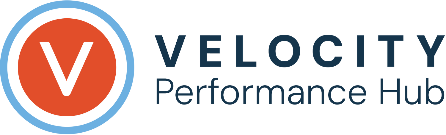 Velocity Performance Hub