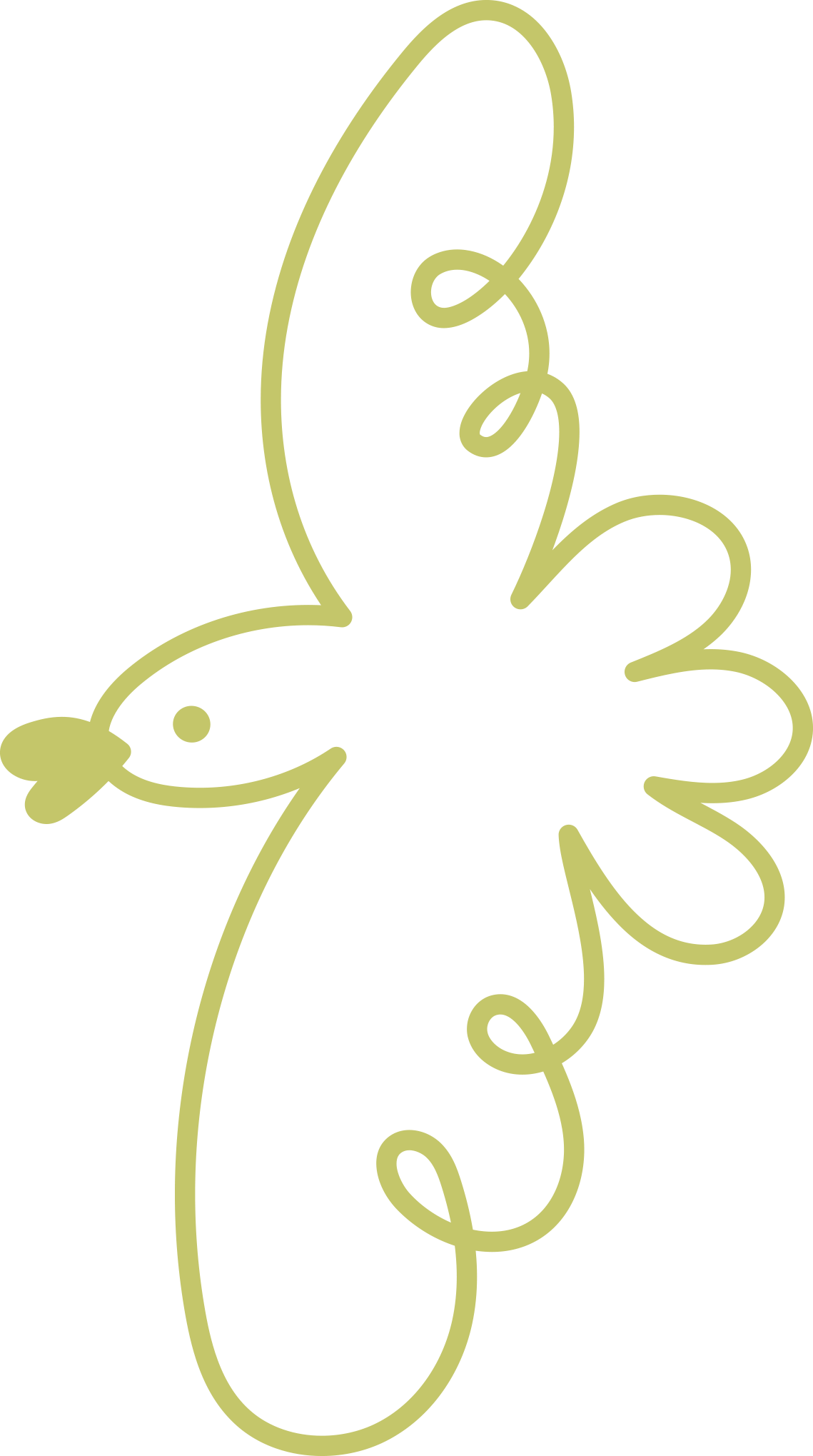 A simple line drawing of a bird with a green outline.