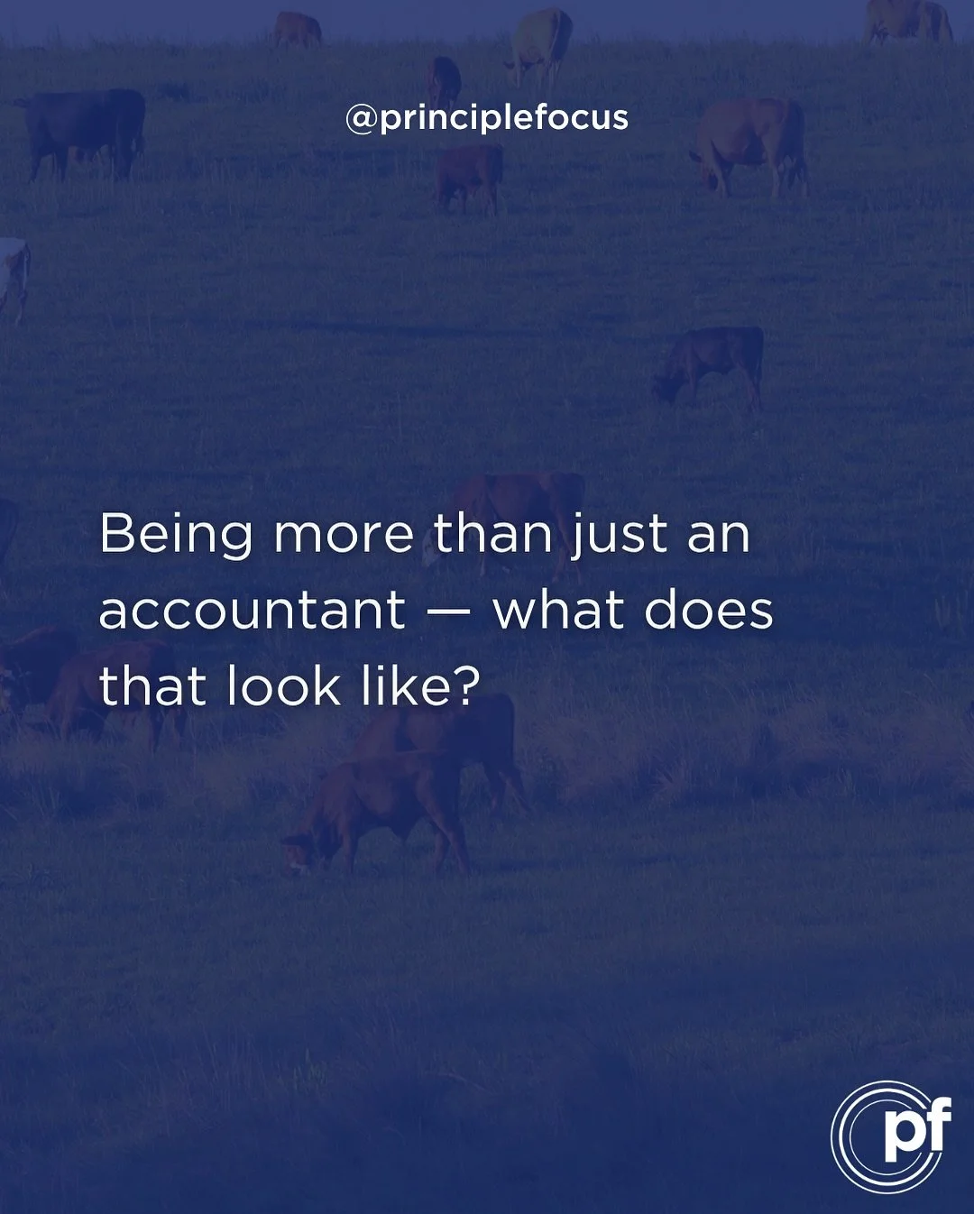 We sit beside regional focused and agricultural family businesses to help drive change, build certainty and deliver better outcomes. 

That means working closely with clients and meeting regularly to become partners in taking your business to the nex