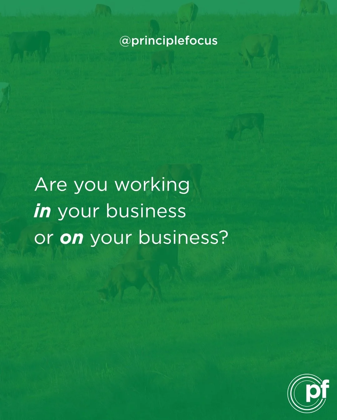 Setting aside half a day every few months to plan, hold monthly management meetings or even a quick weekly catch-up can completely shift how your business runs. 

It&rsquo;s all about finding that rhythm, staying connected, focused and making space f