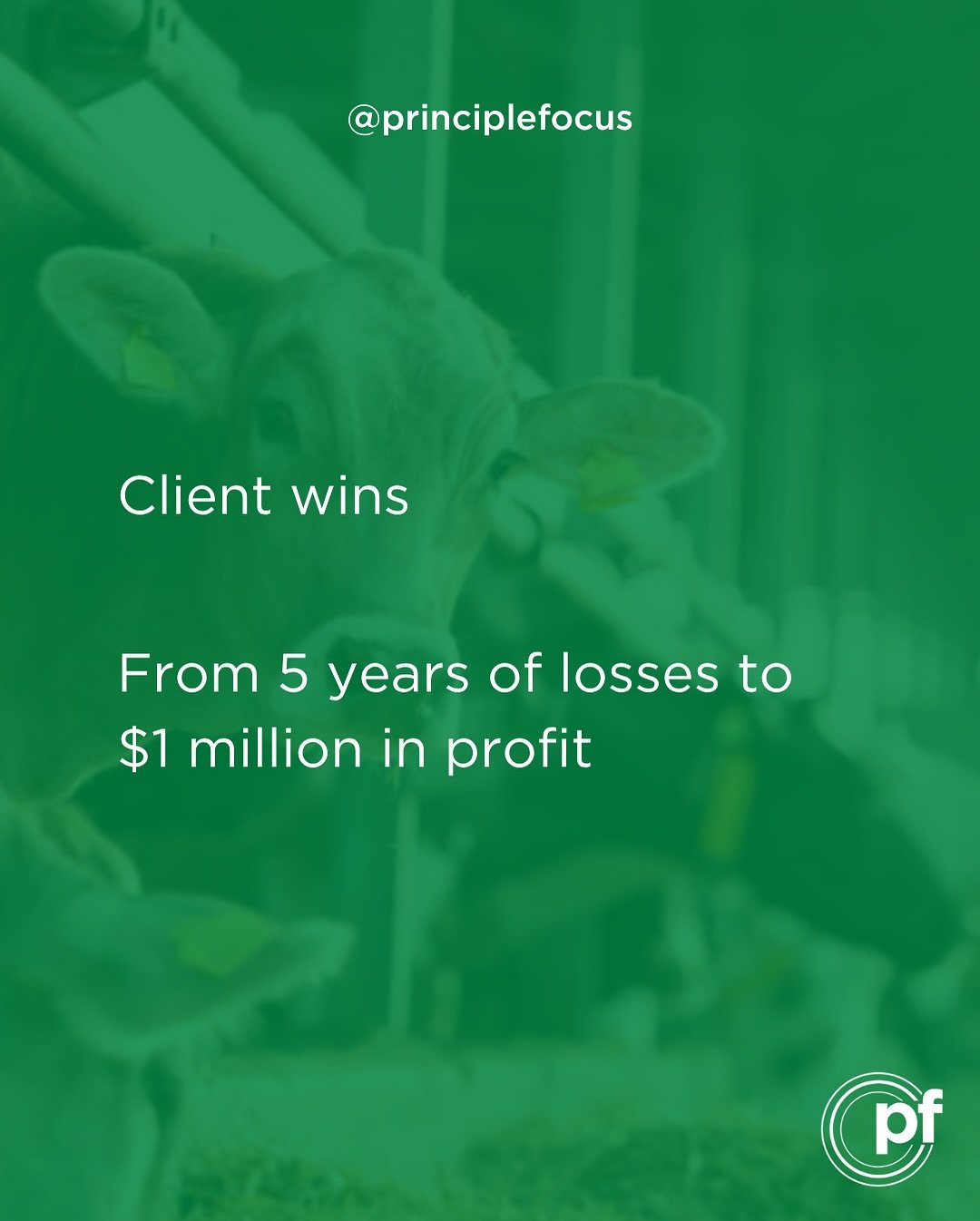 We love celebrating our clients, and especially transformations like this where drastic change comes from being open and willing to do the work. 

#principlefocus #accountants #regionalaustralia #ruralaustralia
