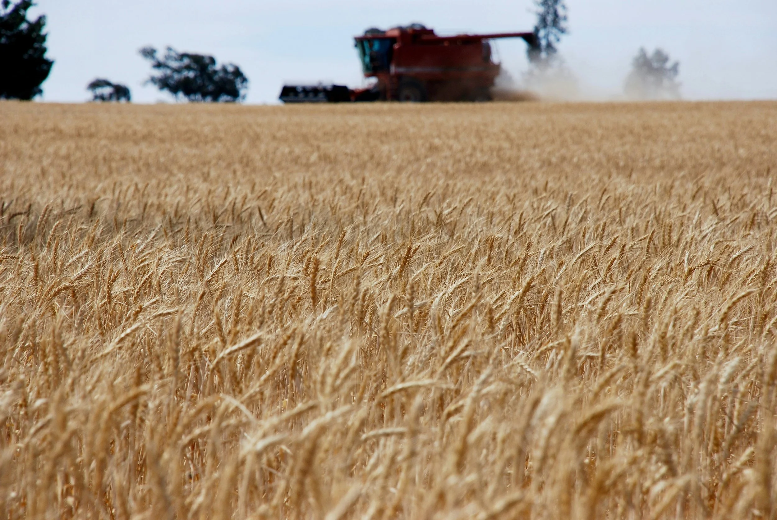 The greatest threat to farm continuity may no longer be tax