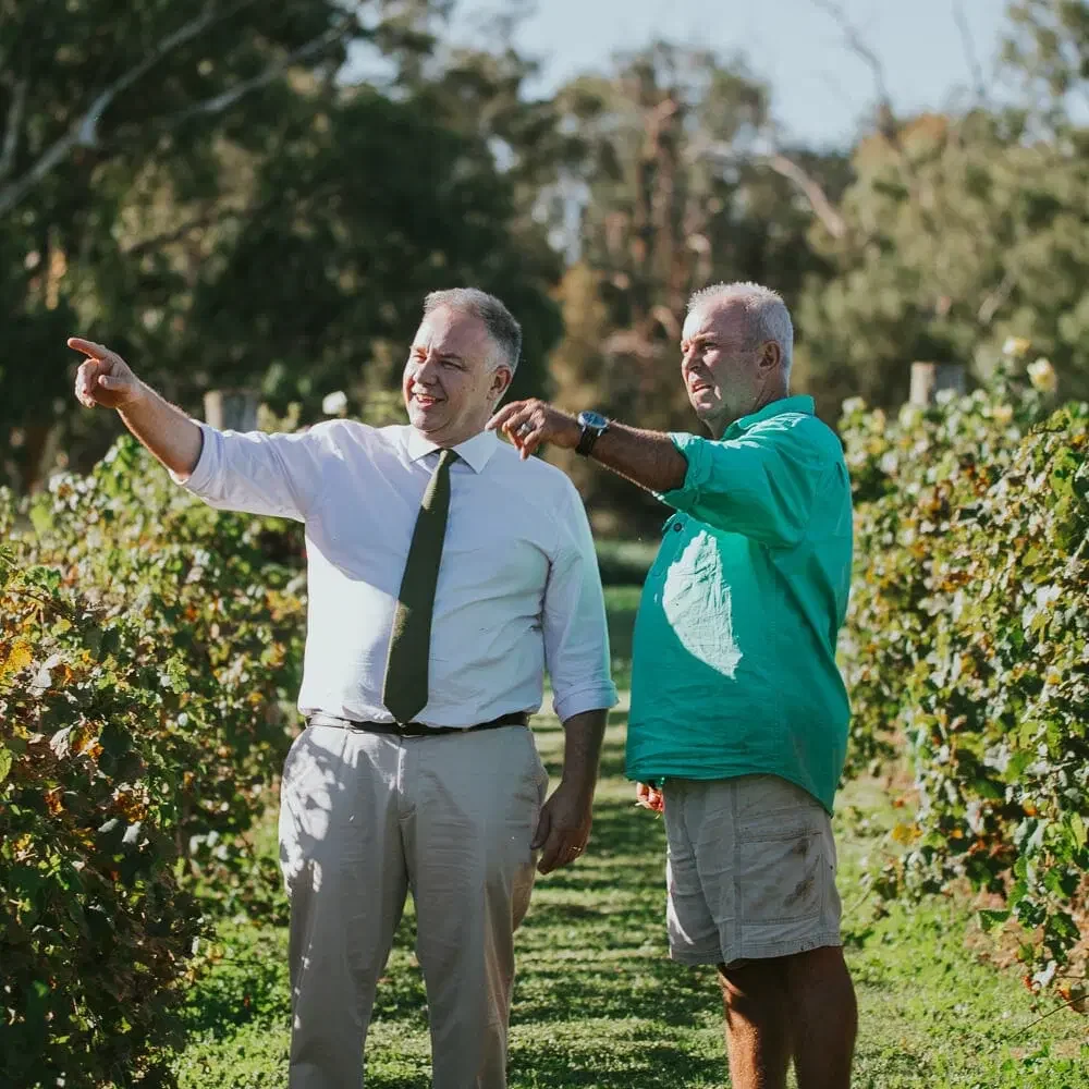 Two men are standing in a vineyard, one pointing towards something in the distance and the other listening. The man on the left is wearing a white shirt and tie, while the man on the right is wearing a turquoise shirt and shorts.