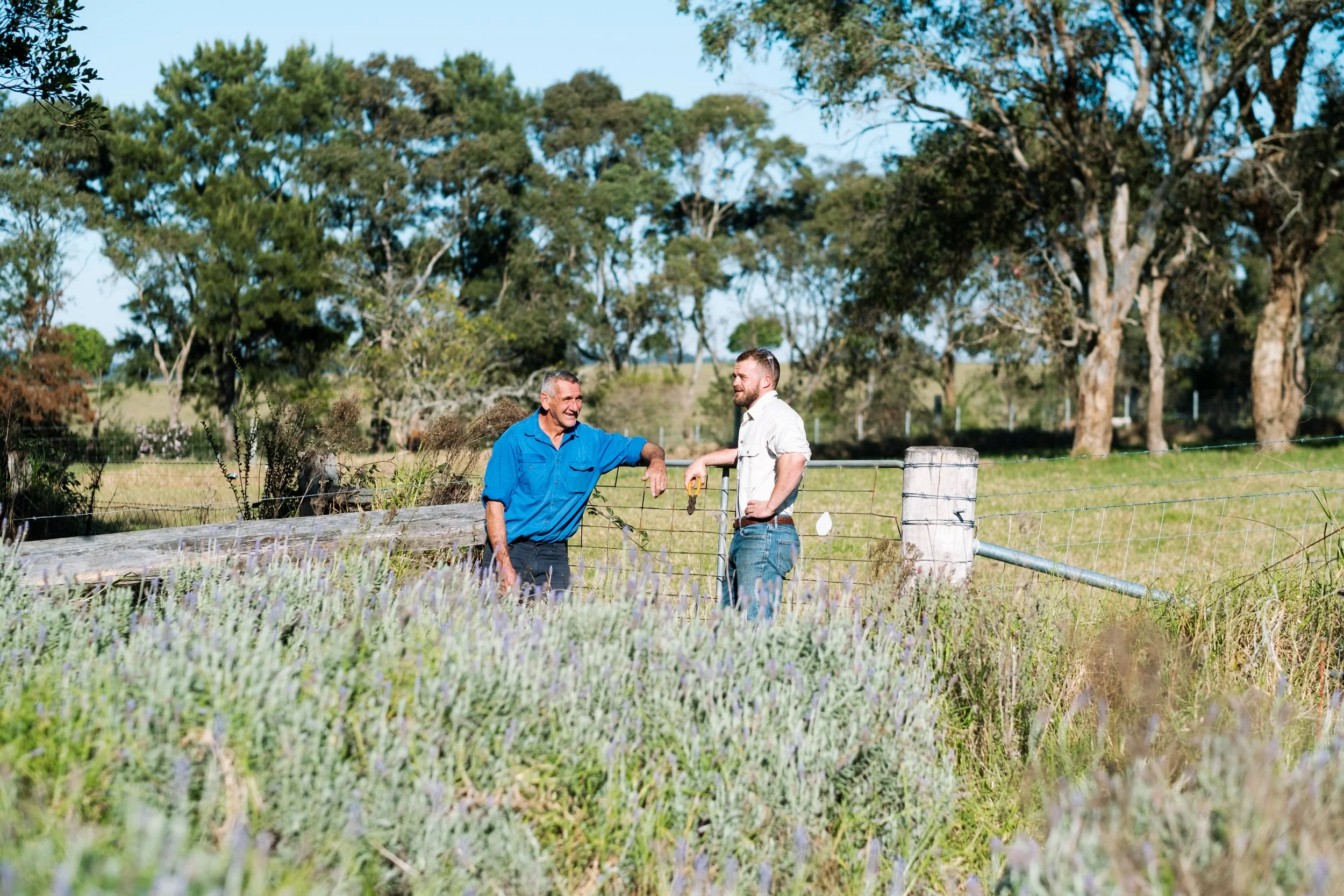 Two men standing outside near a fence, talking and smiling. One man is older, wearing a blue shirt, and the other is younger, wearing a white shirt. There are trees in the background and grassy land.
