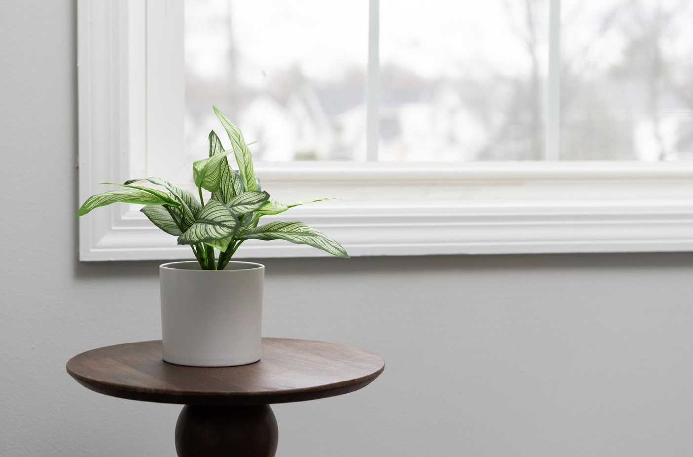 Screenshot 2026-03-26 at 4.54.13 PM.png