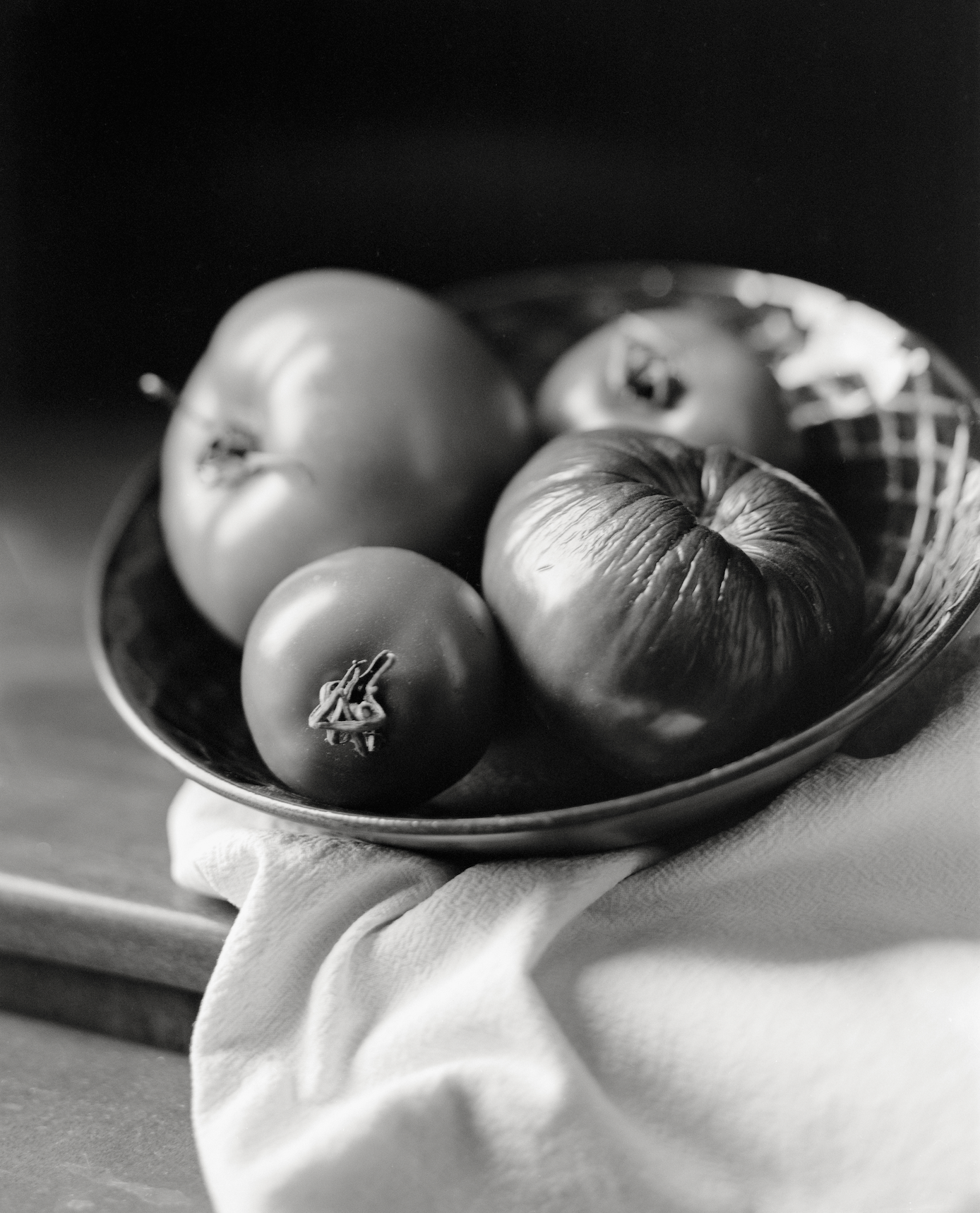 Large Format Still Life