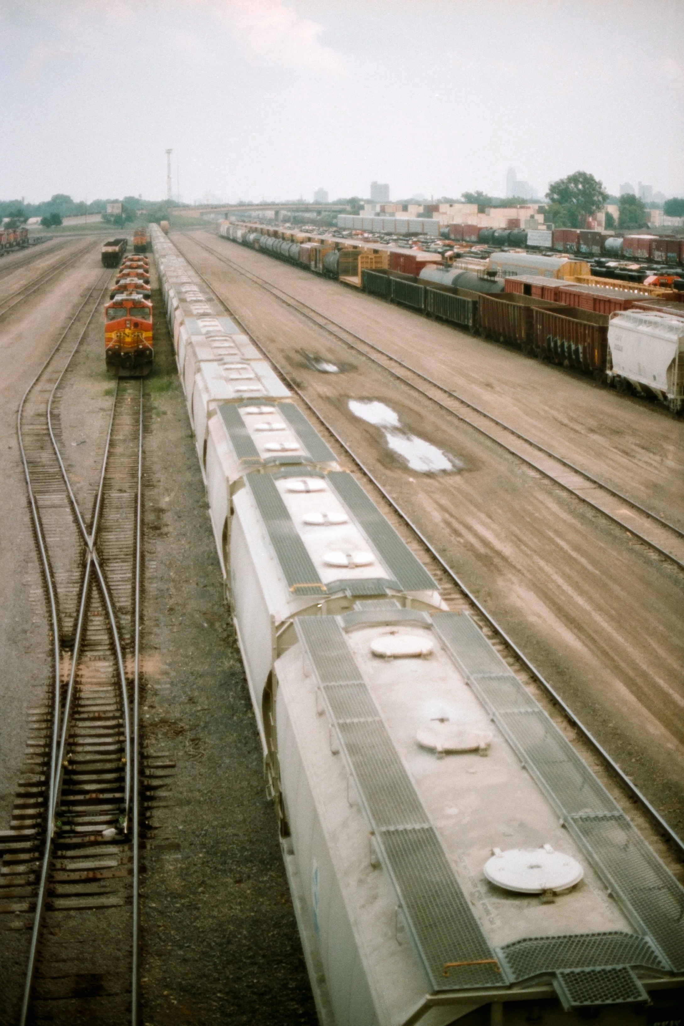 2023-07-01-MNTrains-135Color-9.jpg