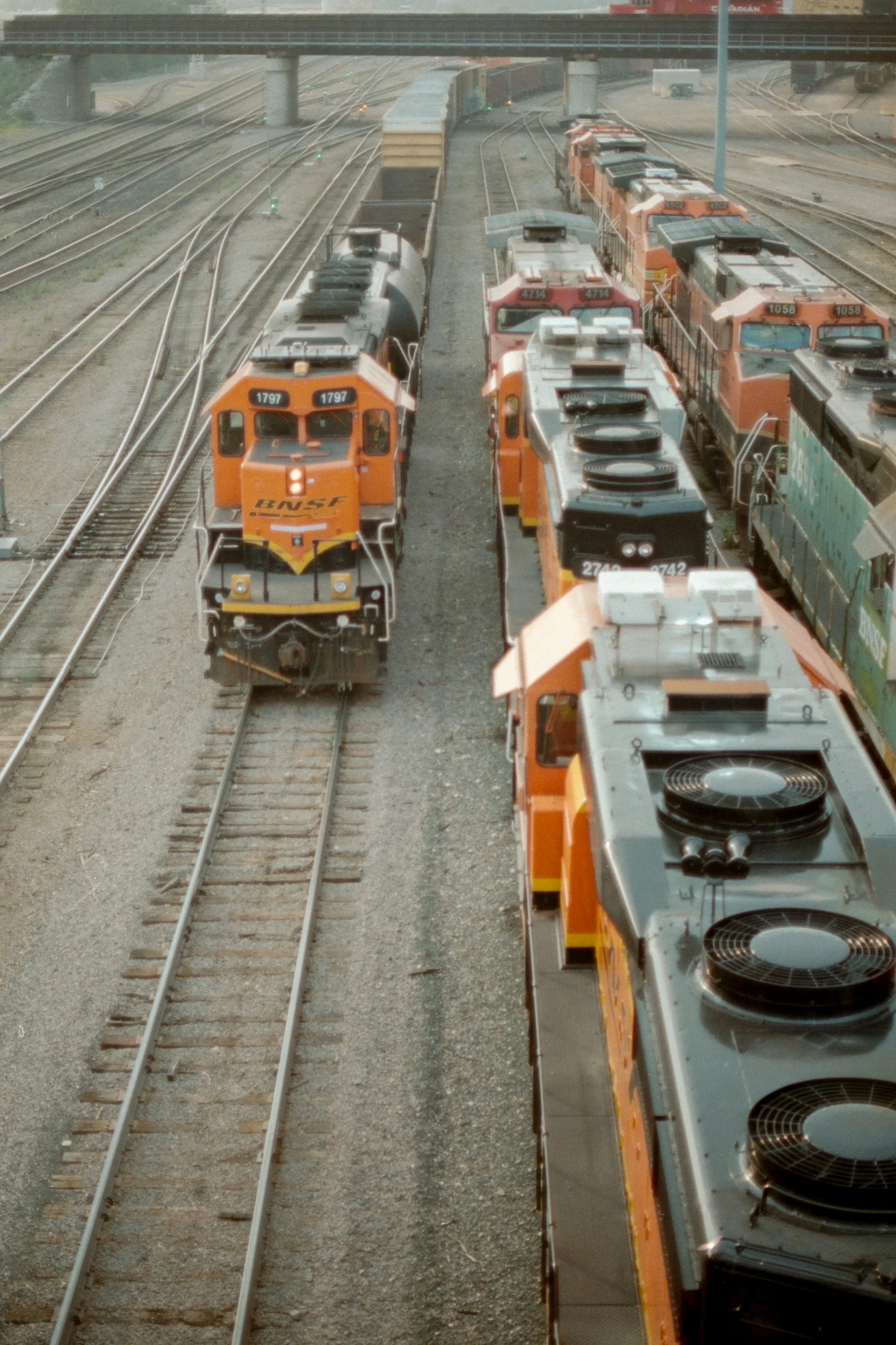 2023-07-01-MNTrains-135Color-2.jpg